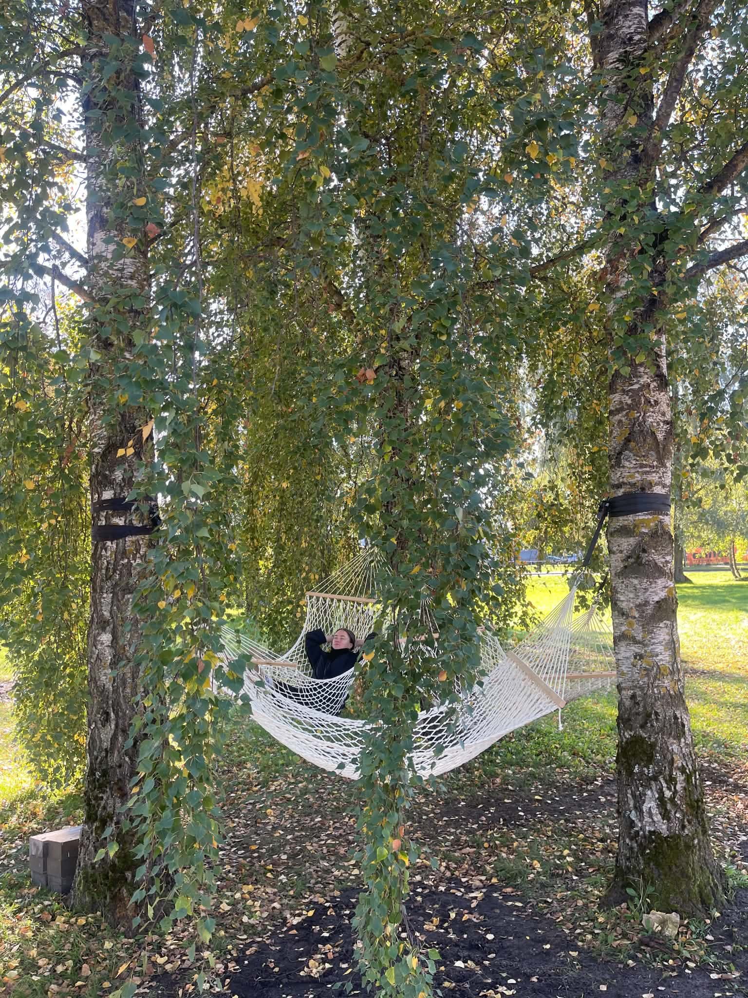 VÕRKKIIKEDE TRIO PAIGALDUS JA KANDEVÕIMES VEENDUMINE