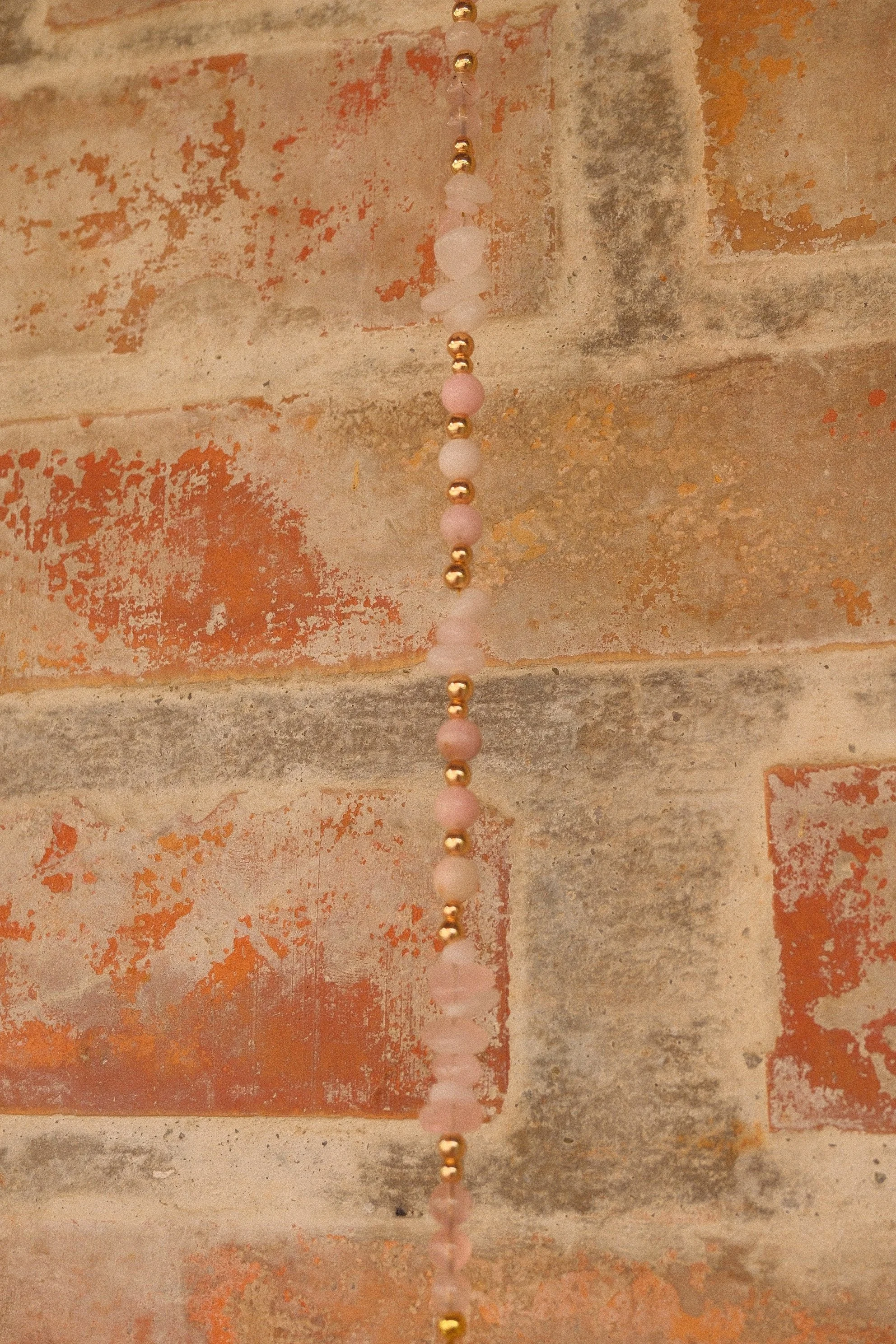 DSCF1858.JPG
