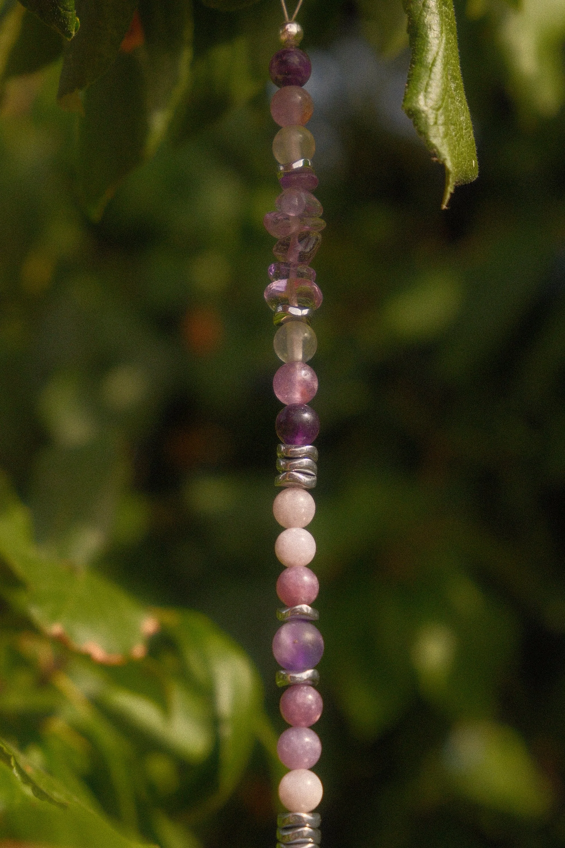 DSCF1873.JPG