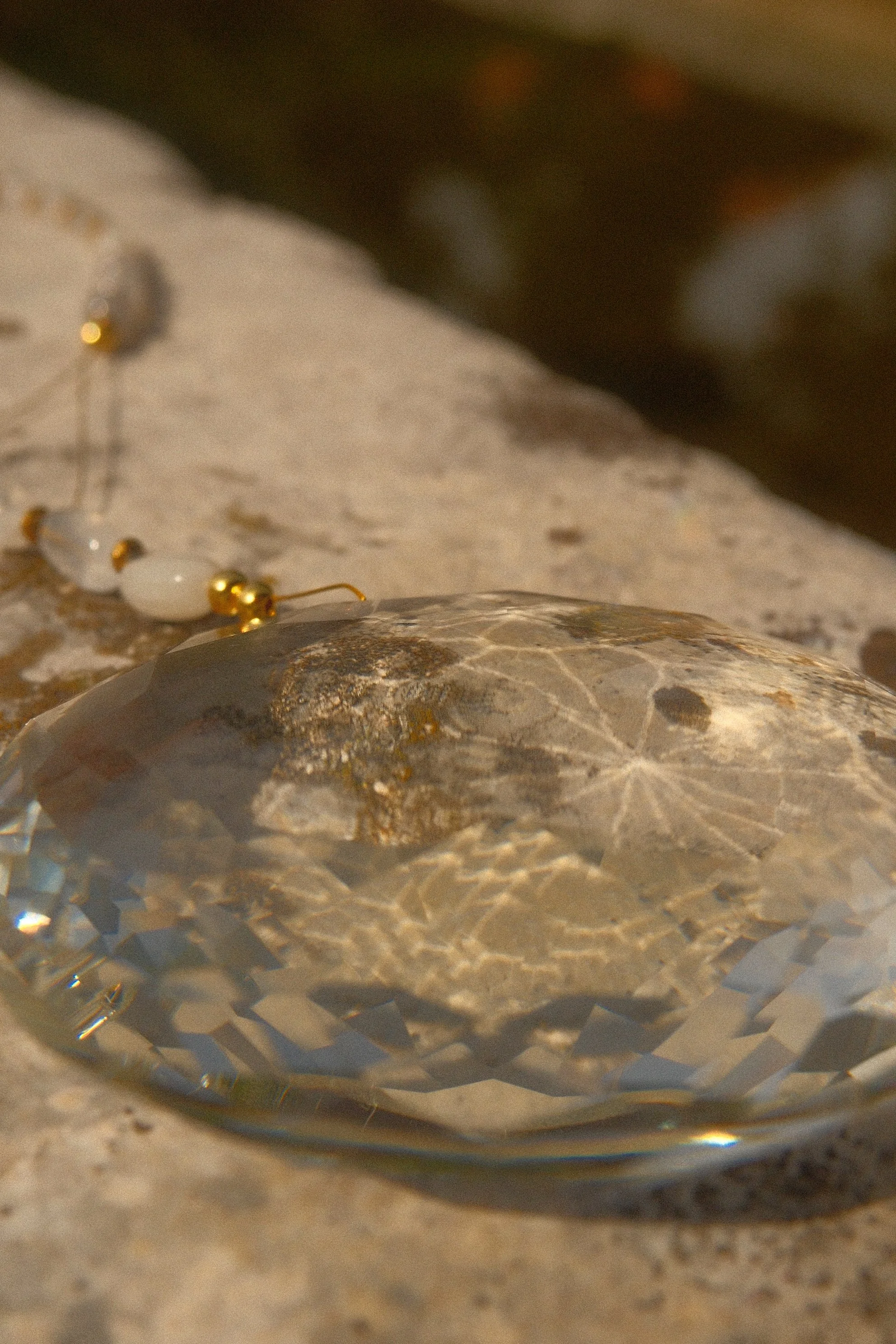 DSCF1848.JPG