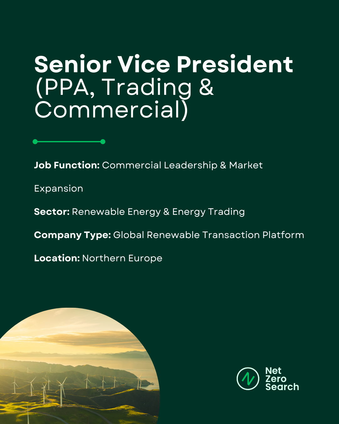 Senior Vice President PPA Trading Commercial Energy Transition Candidate