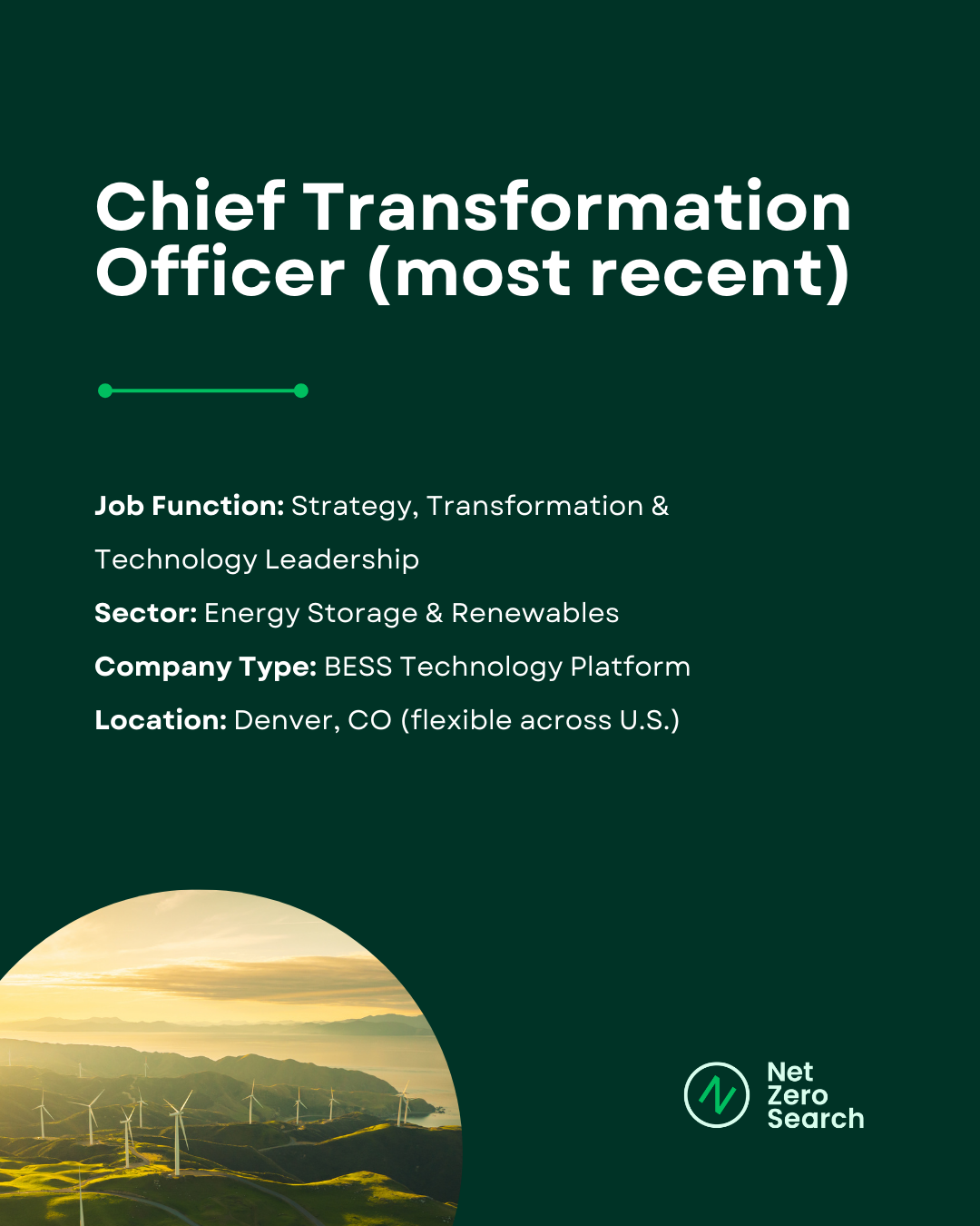 Chief Transformation Officer Energy Transition Candidate