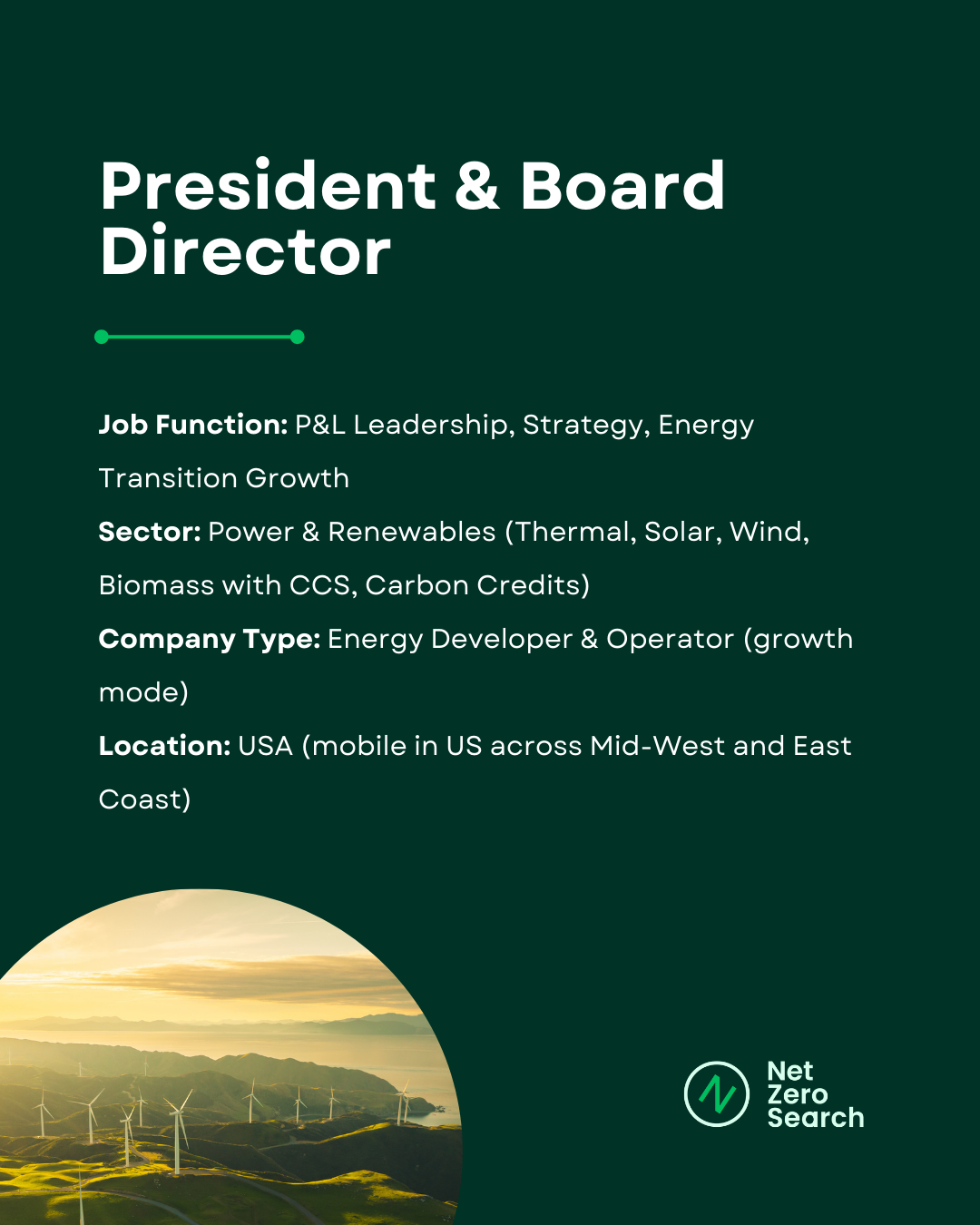 President & Board Director Energy Transition Candidate