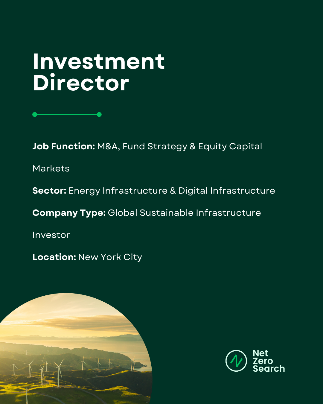 Investment Director Energy Transition Candidate