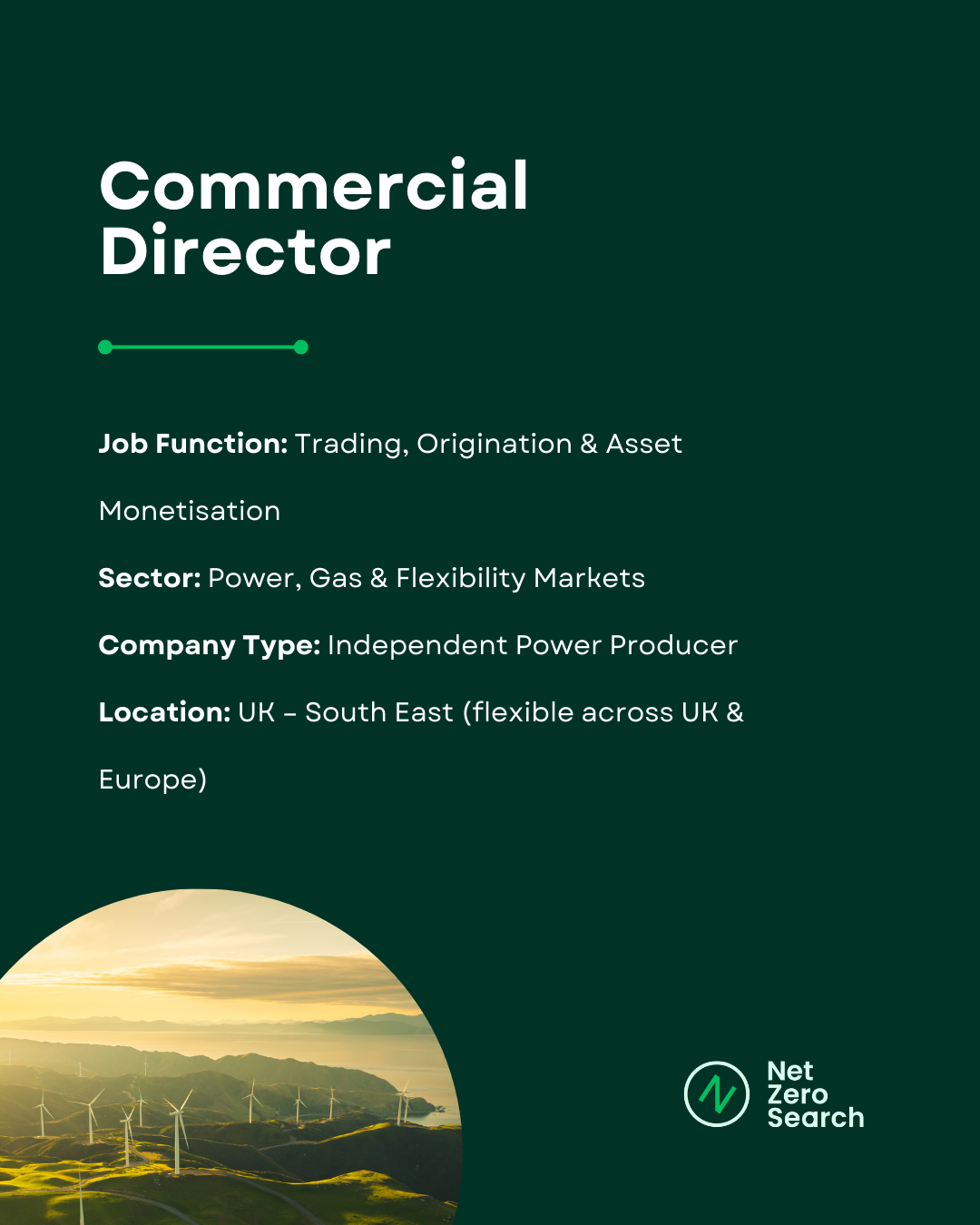 Commercial Director Energy Transition Candidate