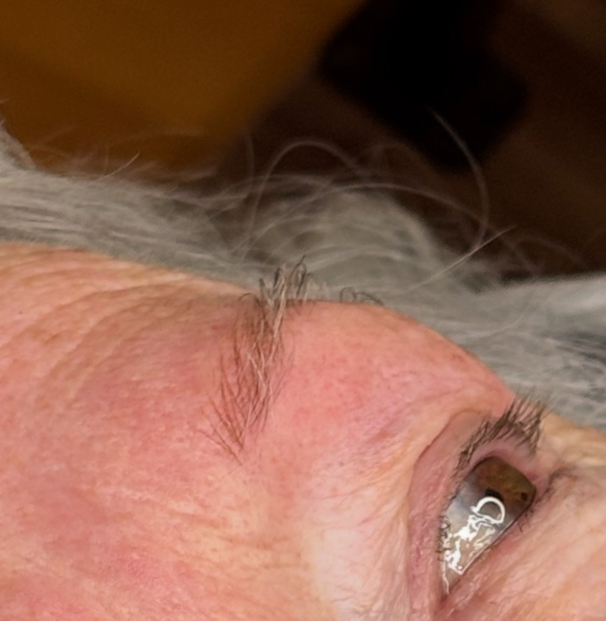 Where does the Hyperrealism brow tattoo start and the natural eyebrow hair begin? I love giving my mature skin clients a boost with this gentle style of cosmetic tattoo. If you&rsquo;ve been wondering about brow tattoo but scared of blocky caterpilla