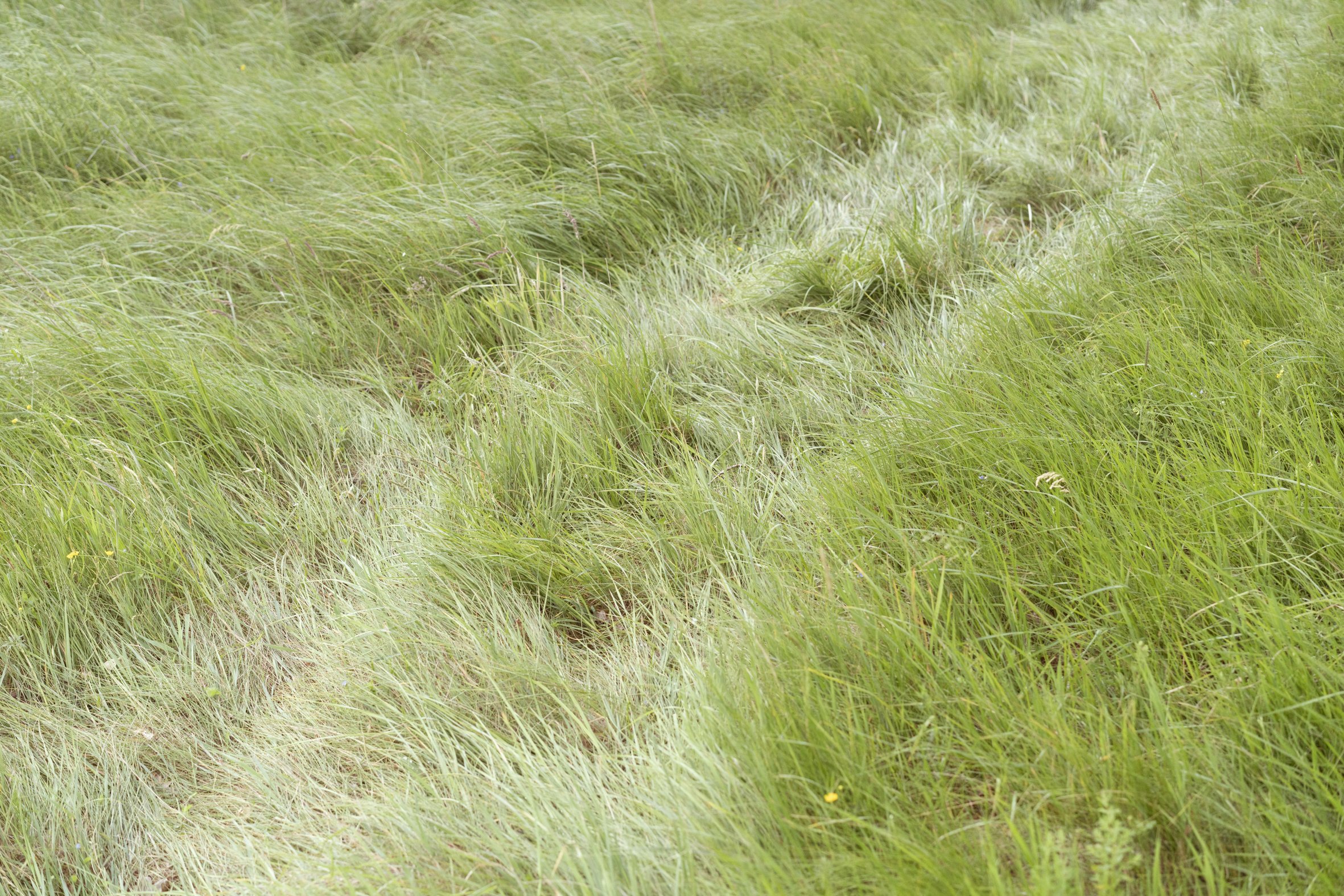 GroundToSound-2341.jpg