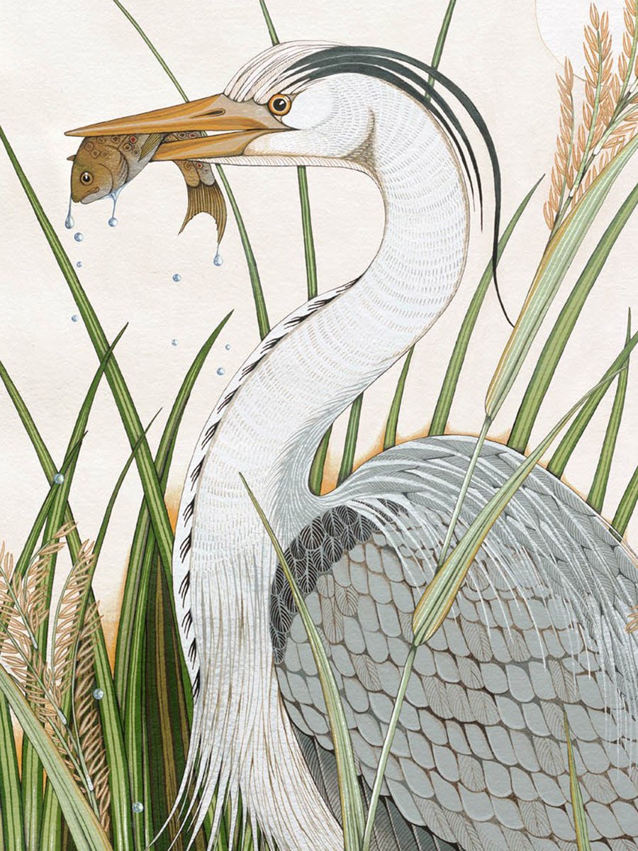 Heron-With-Trout-1-poppy-melia.jpg