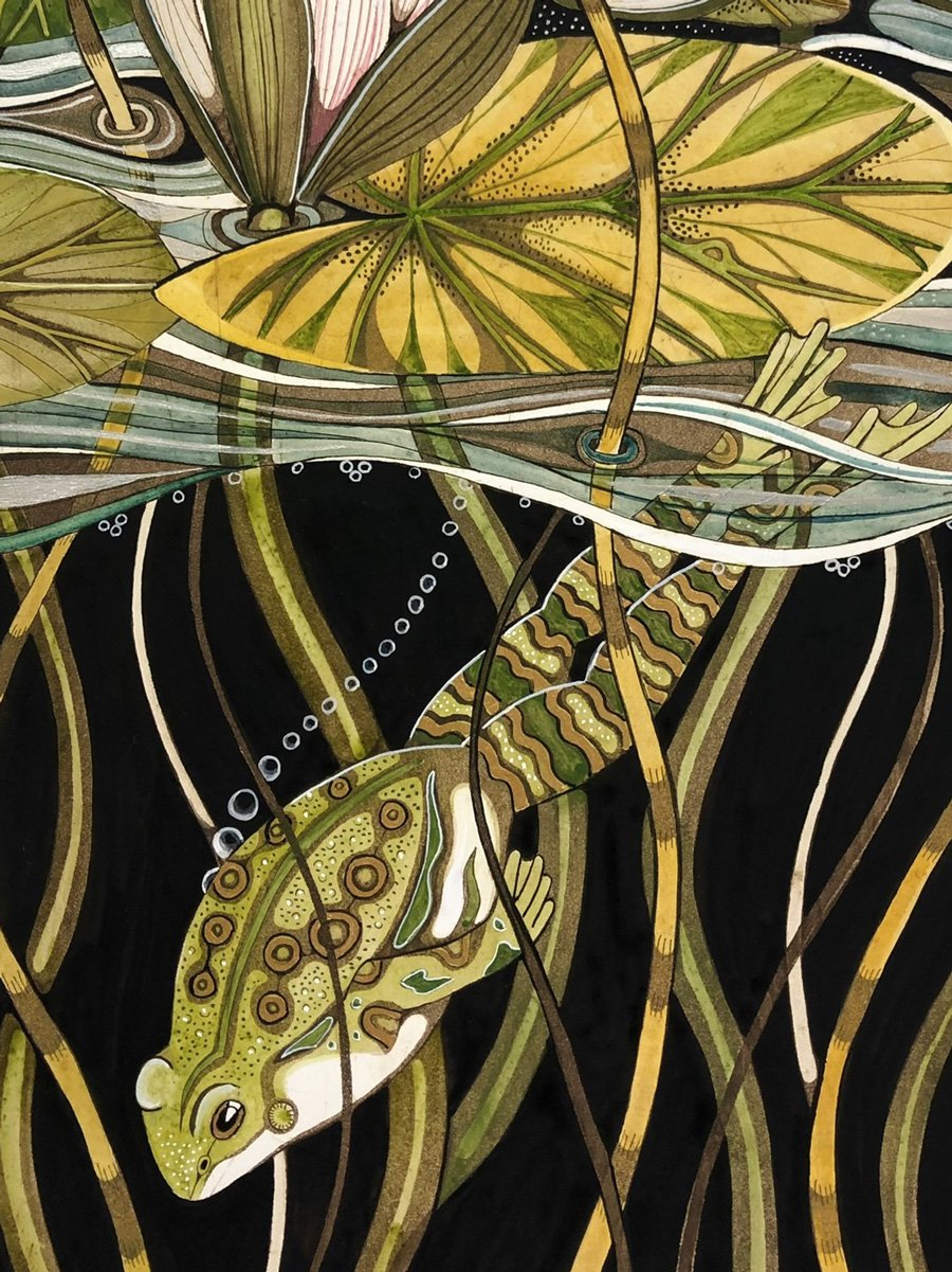 Frog-Waterlilies-1-poppy-melia.jpg