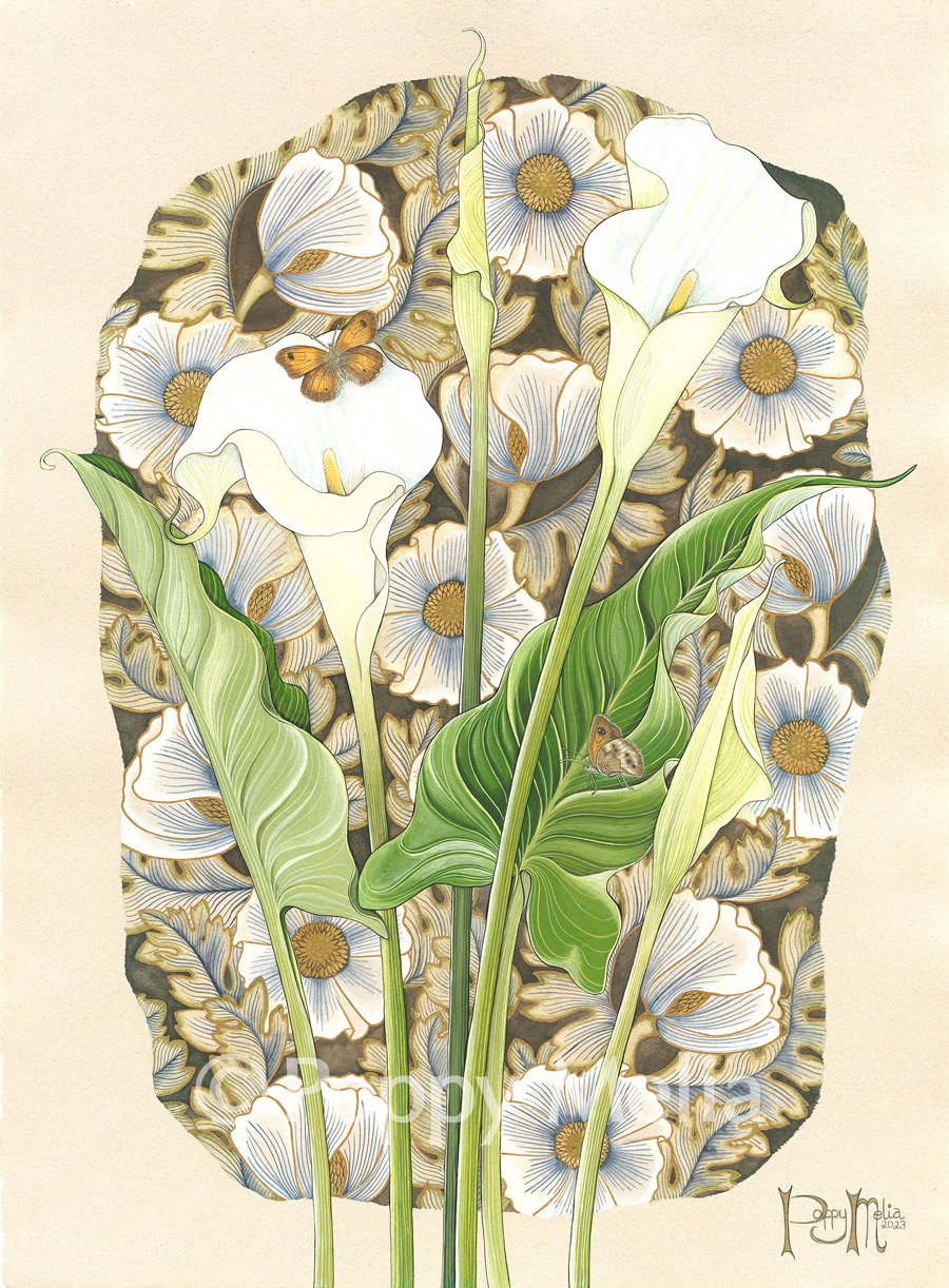 Arum-Lillies-and-Butterflies-1-Poppy-Melia.jpg
