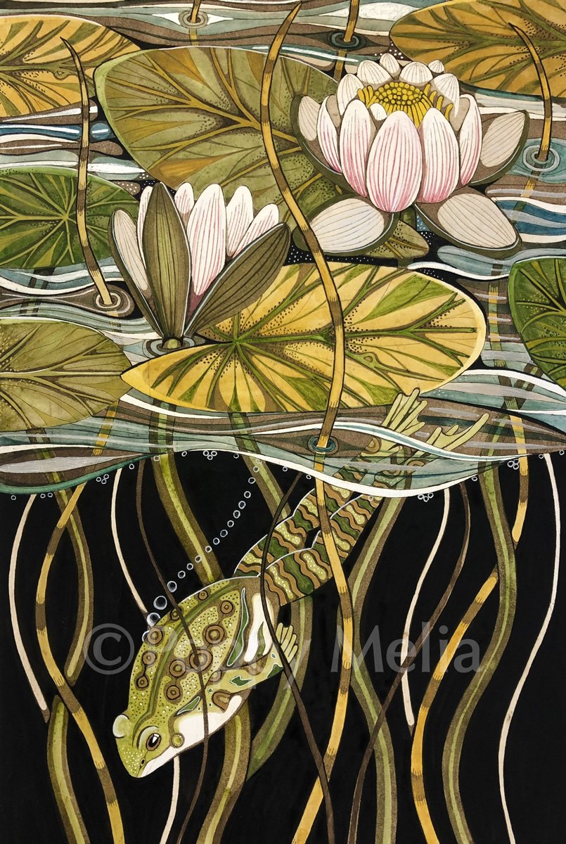 Frog-Waterlilies-2-poppy-melia.jpg
