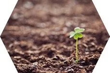 What is regenerative agriculture?