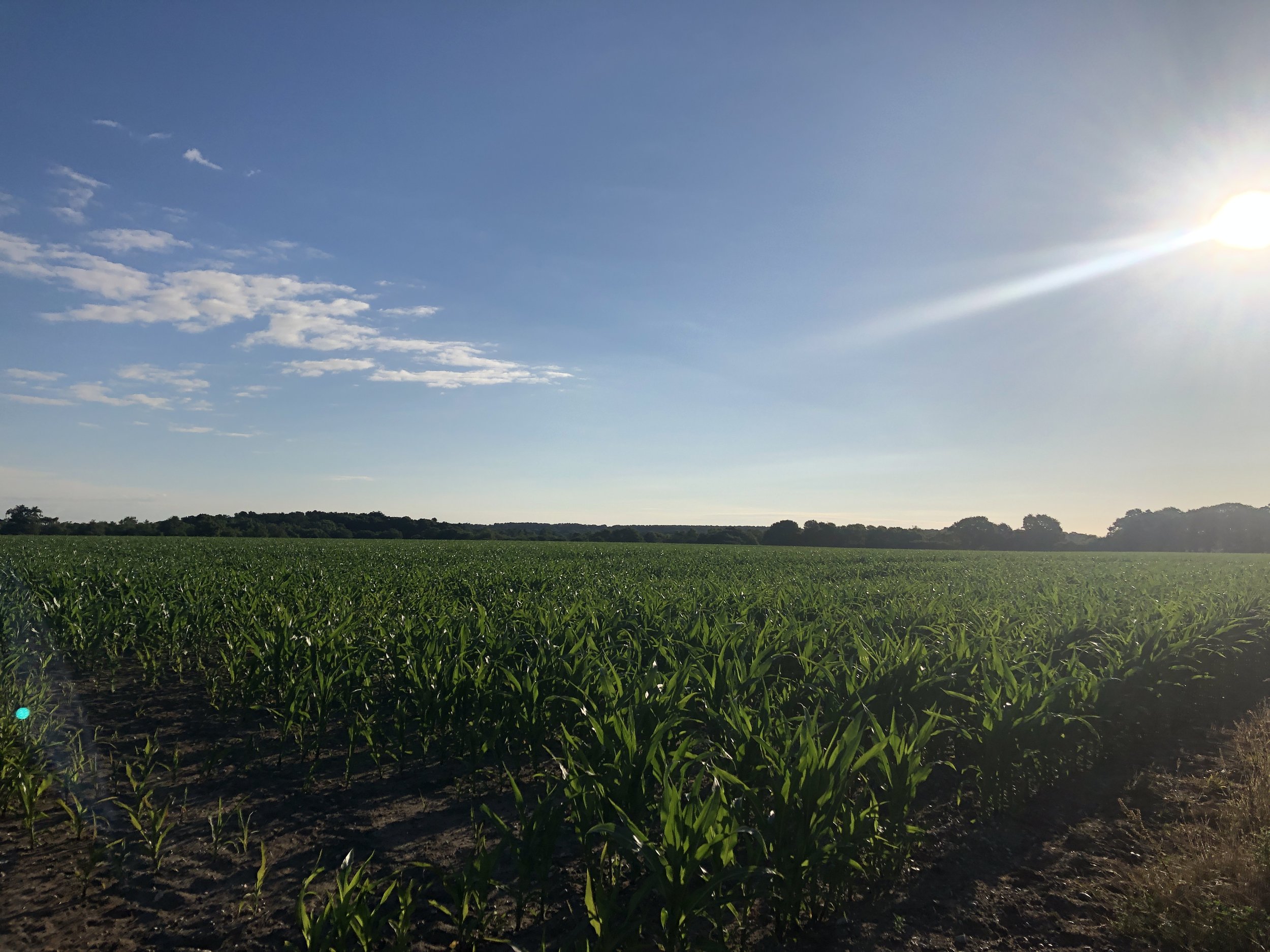 What is regenerative agriculture?