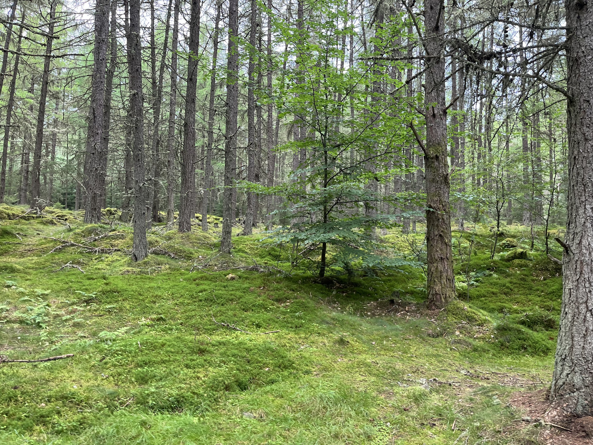 Nature-Positive Business Models