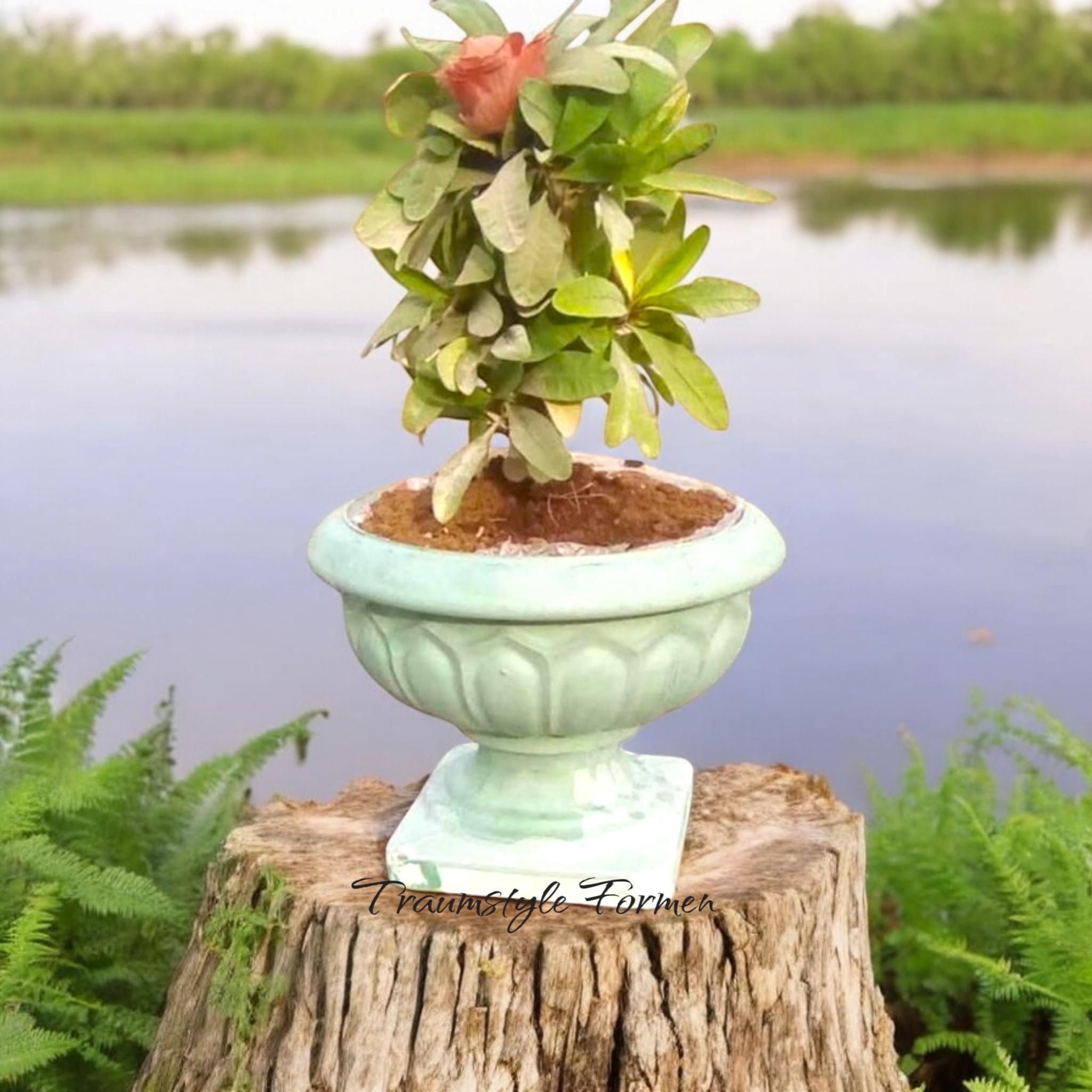 https://i.etsystatic.com/11570749/r/il/57015b/6587647338/il_fullxfull.6587647338_i5gf.jpg