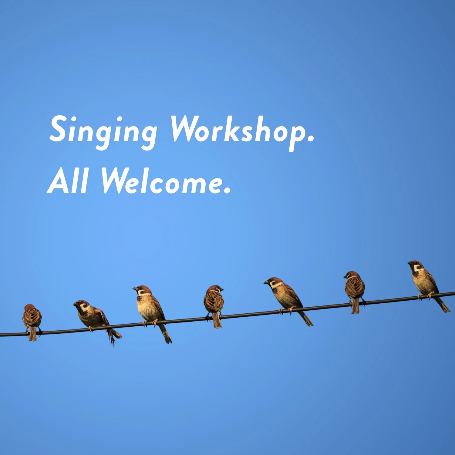 Folk Choir Workshop, Bristol