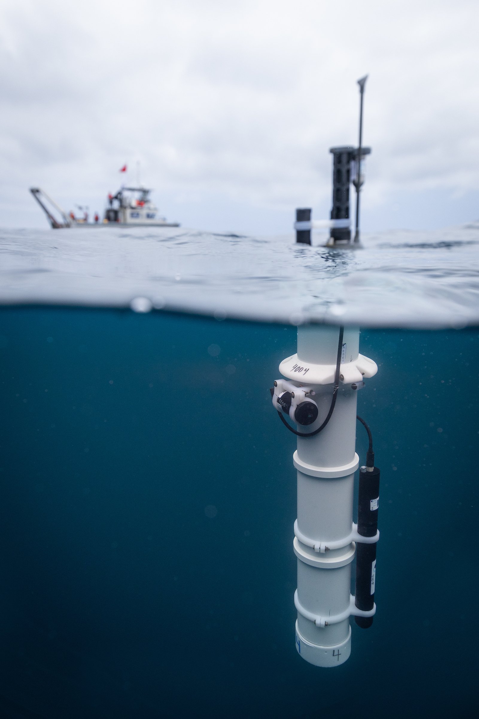 Argo Float Programme — Yachts for Science