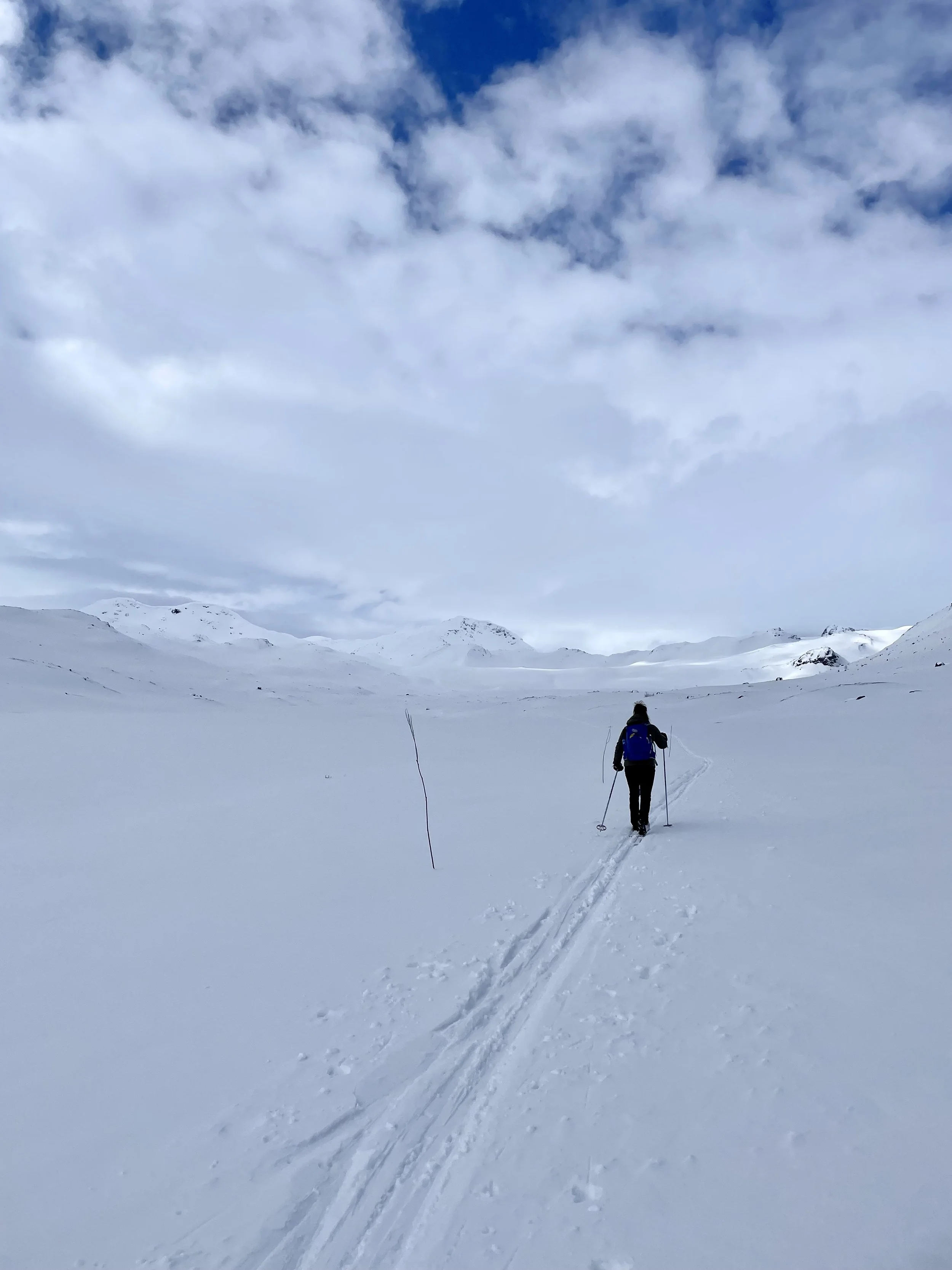 Tredagers rundtur på fjellski                 Bessheim-Glitterheim-Memurubu-Bessheim