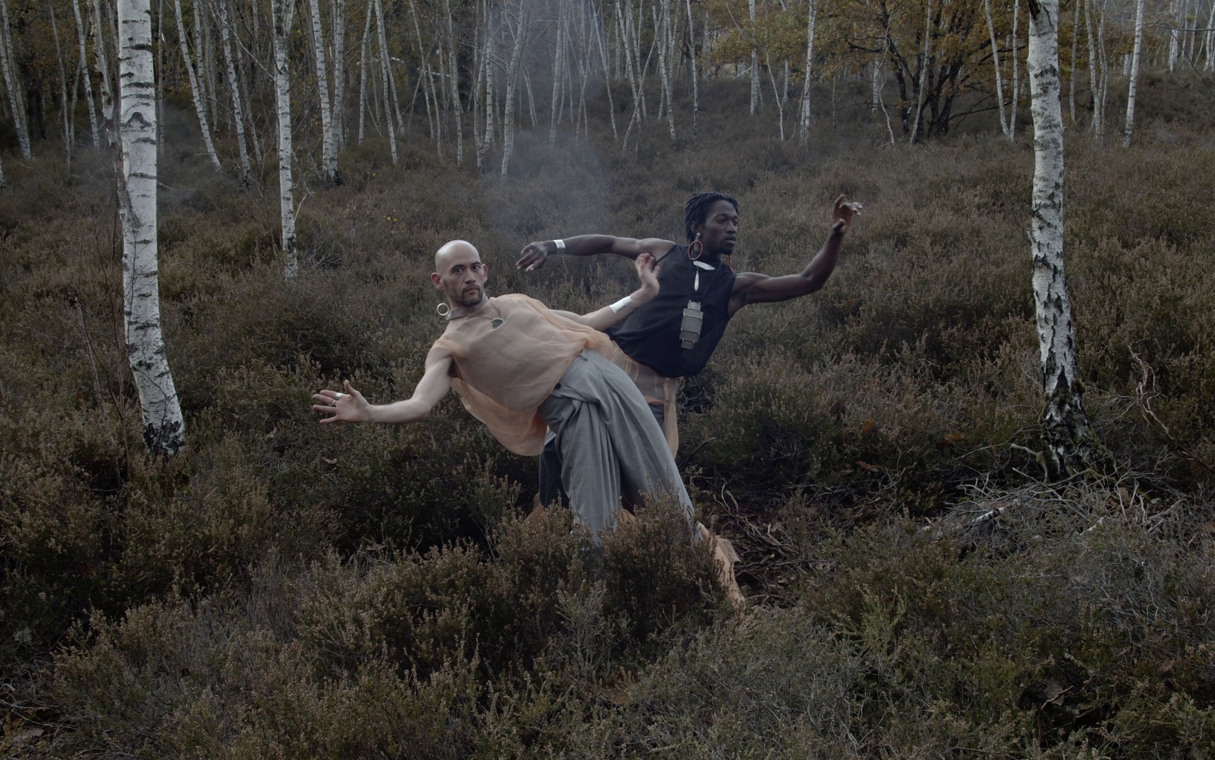 Capture d’écran 2024-10-09 à 18.43.05.png