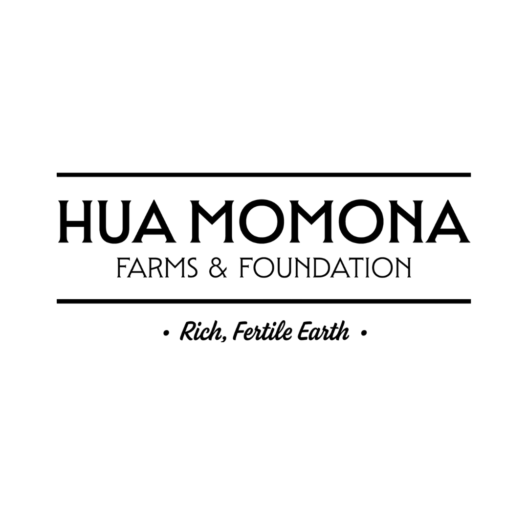 Inside a greenhouse, various trays of seedlings and young plants grow under a curved glass roof, with different shades of green and purple plants arranged in rows.