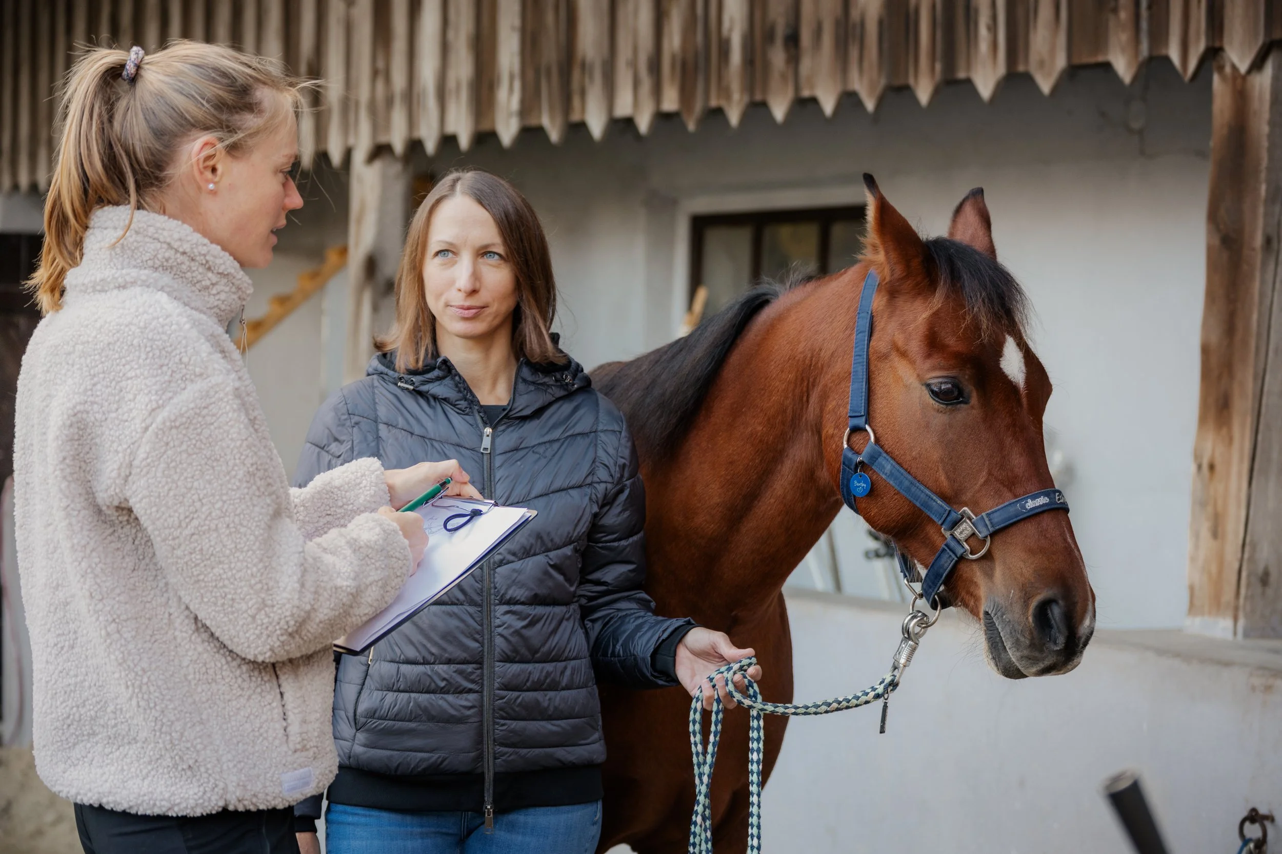 Tierheilpraxis Kirchberger in Regensburg