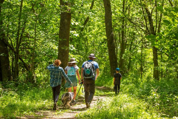 Italian + mindful walking (long weekend) - June 2025