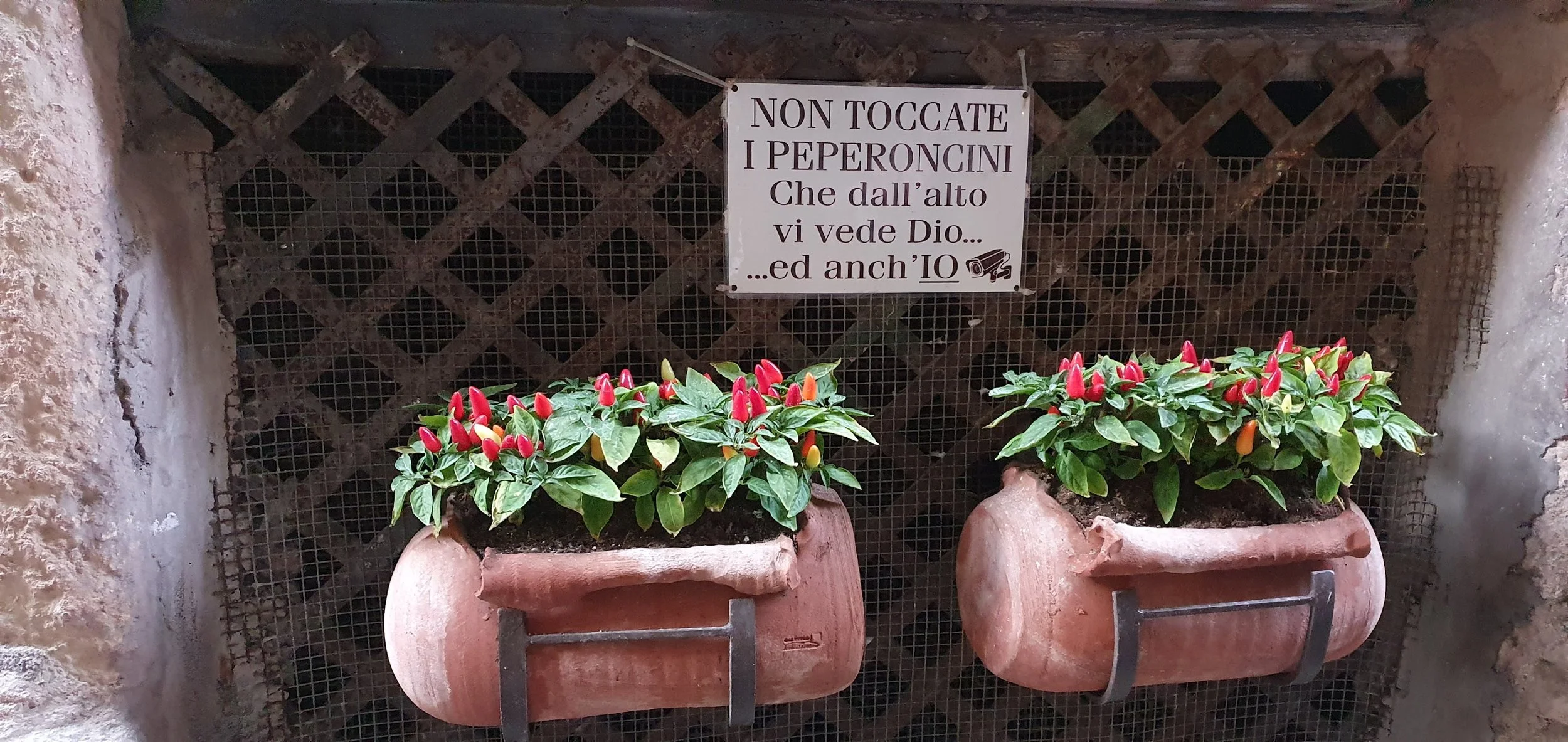 peperoncini.jpg