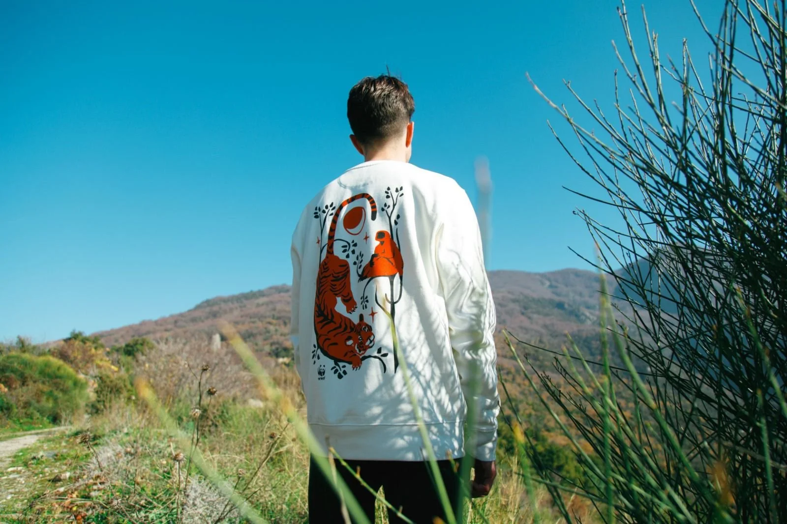 WhatsApp Image 2026-01-28 at 11.28.49.jpeg