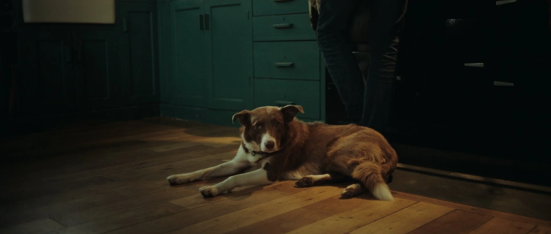 June, Jan-Jacob’s border collie, lying in front of the warm glow of the wood-fired Aga
