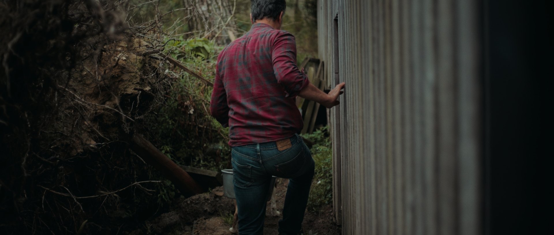 Walking alongside the chicken coop, Jan-Jacob's dense red shirt popping against lush green tones
