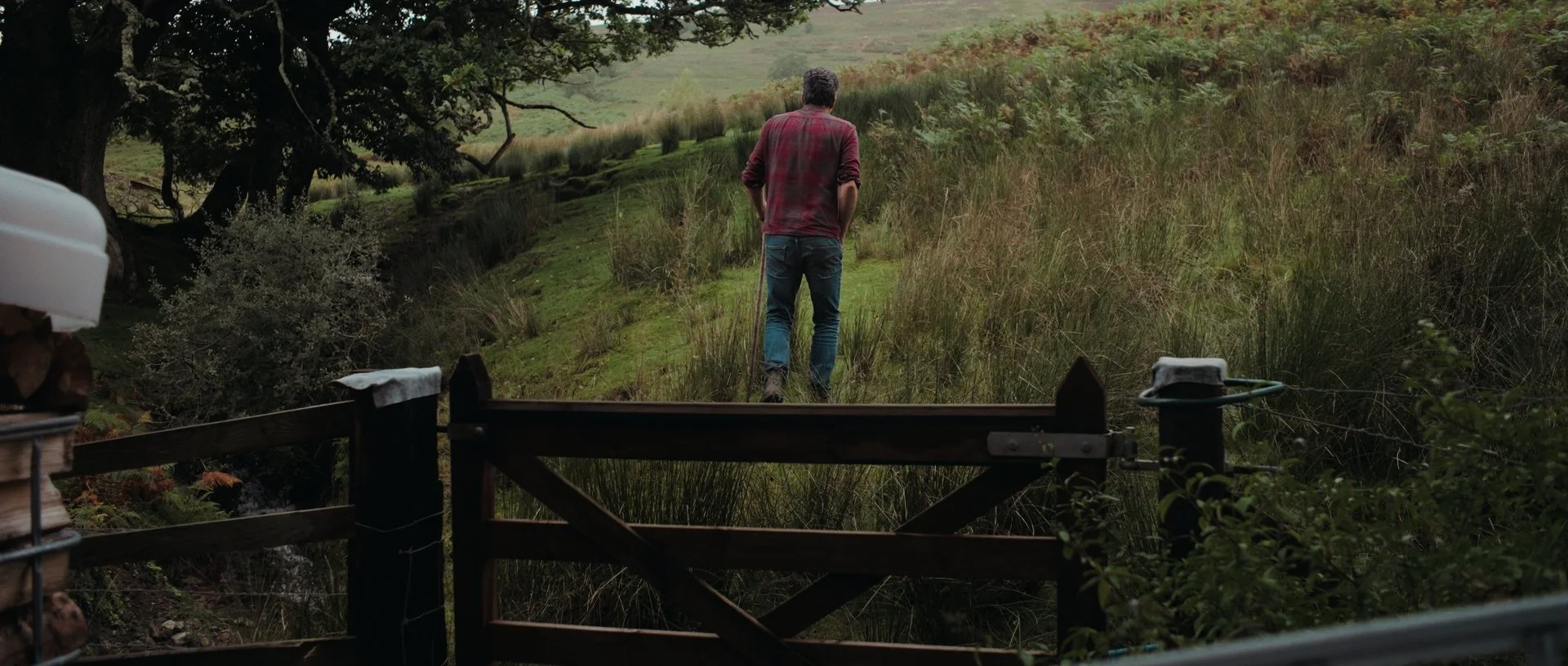 An earlier moment beneath the oak tree, softened light filtering through the branches