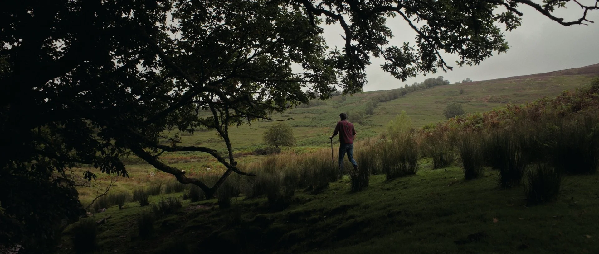 Under a giant oak tree in the moody highland landscape, deep shadows adding visual depth
