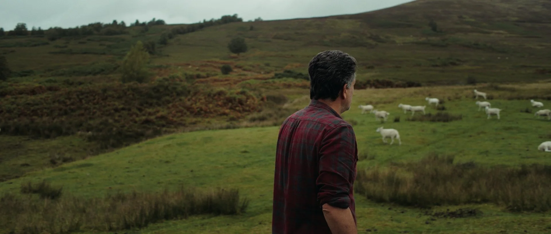 Jan Jacob striding through a vast field, cinematic colour grading accentuating lush textures