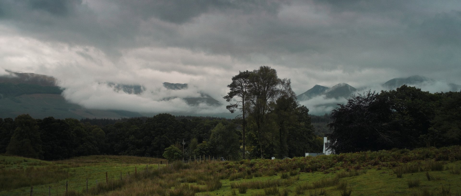 Scottish Highlands landscape, trees and fields bathed in soft moody light