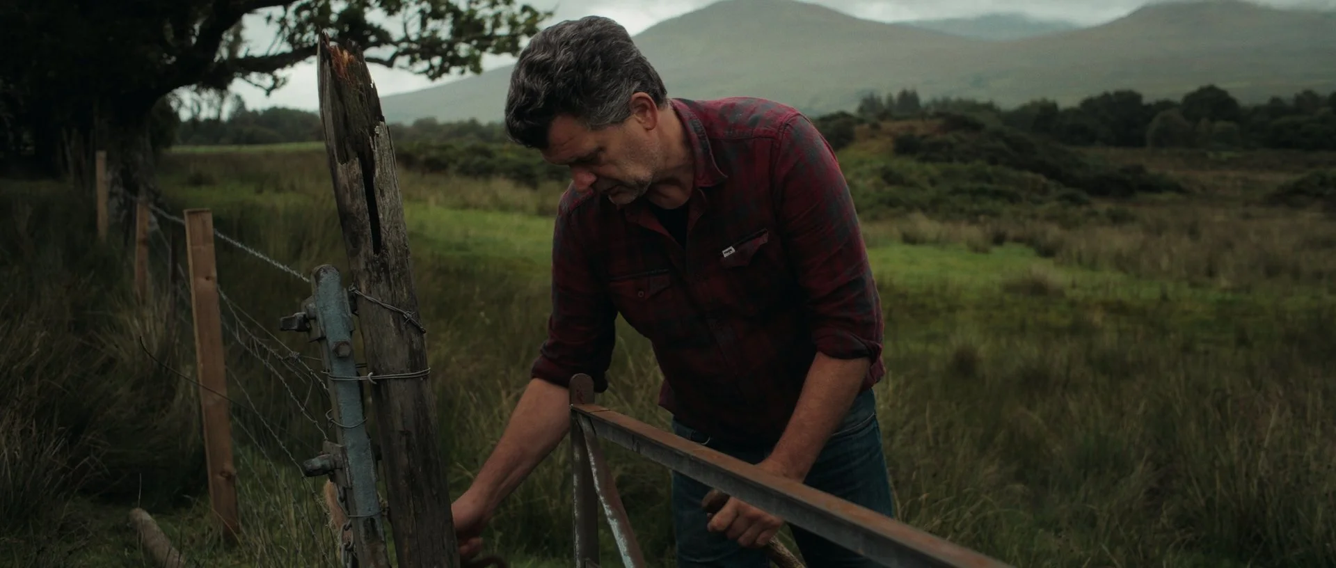 Jan Jacob closing a gate in his field, deep greens and a brooding sky amplifying the cinematic atmosphere