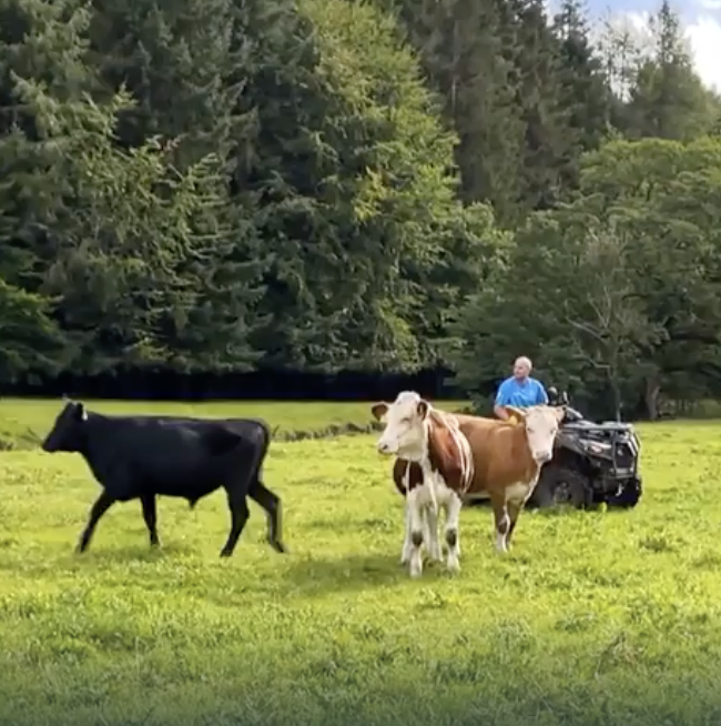 Screenshot 2025-09-19 at 4.17.15 pm.png