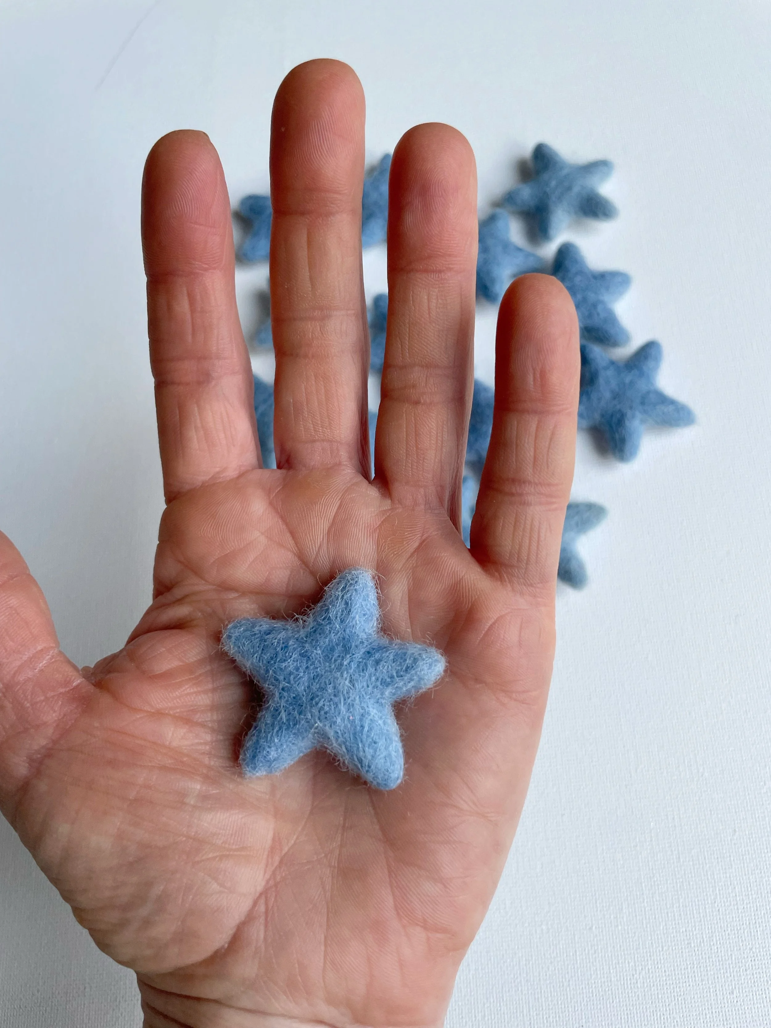 IMG_8425.jpeg (Copy)