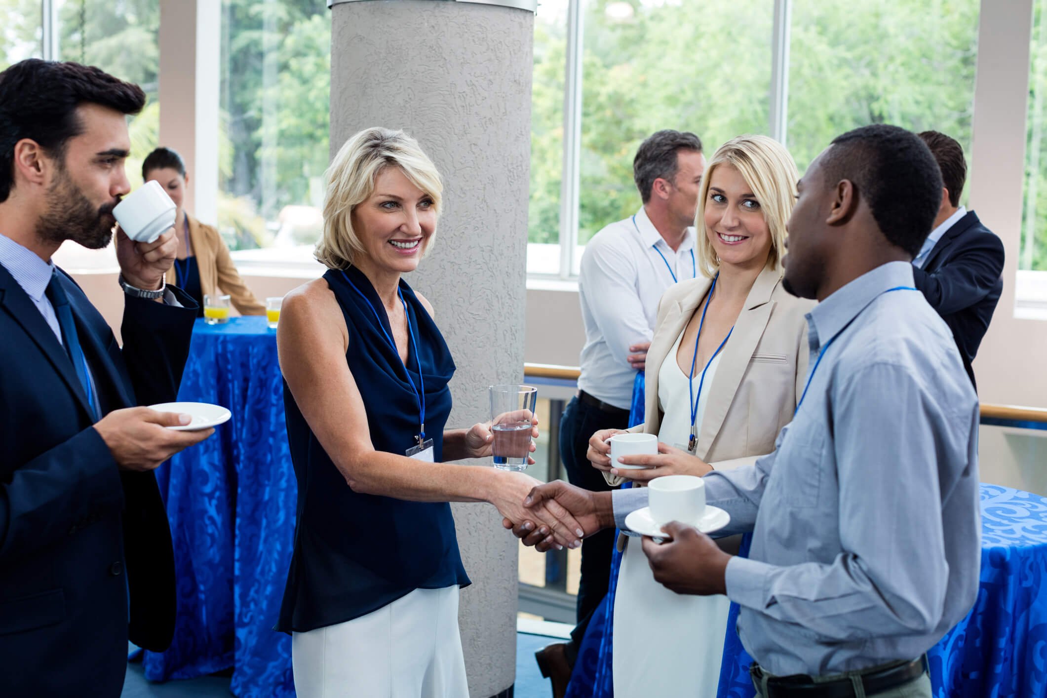 Peaceful Networking 2026 Criminal Justice Mental Health Conference