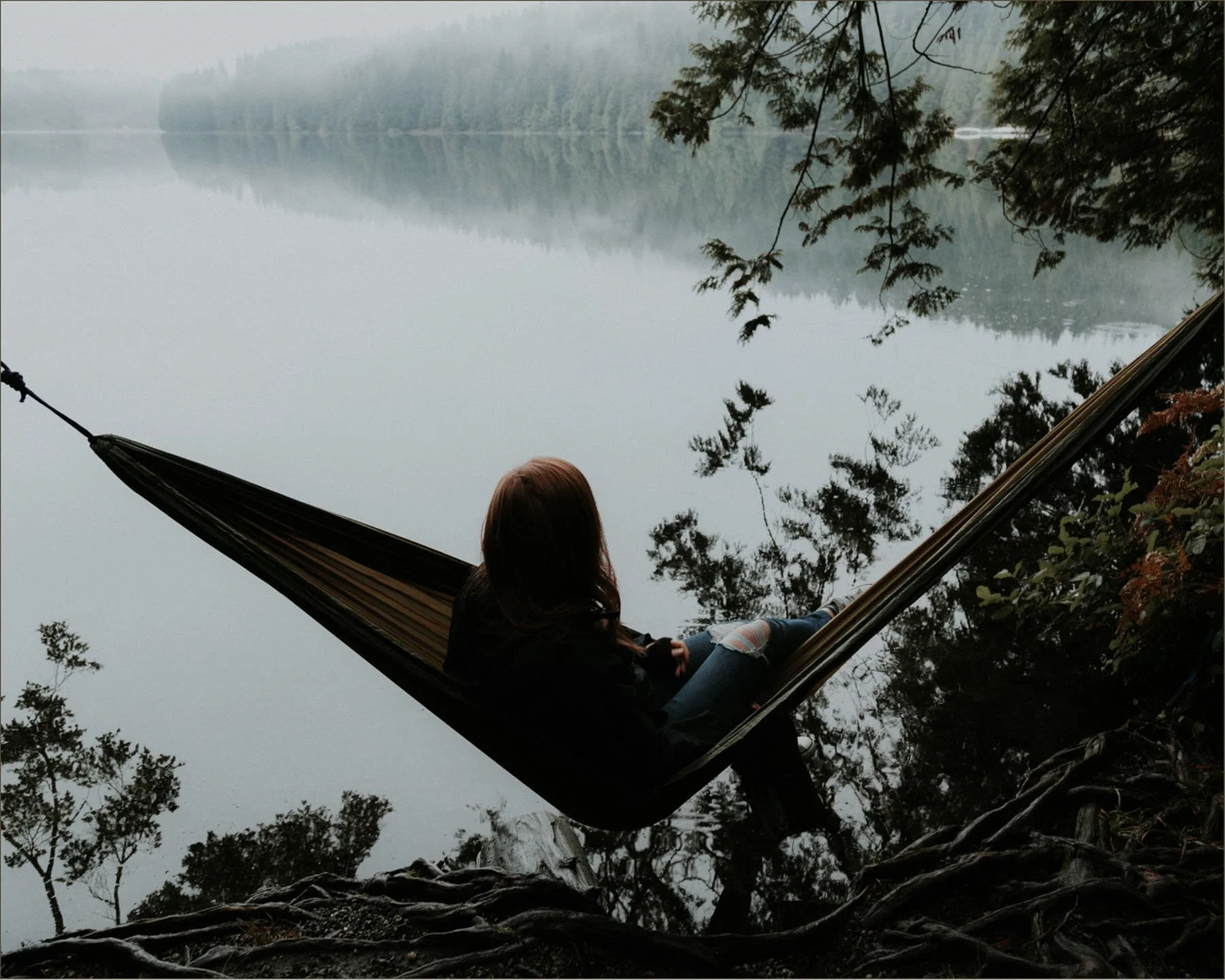 Interbeing-Website-Template_State-of-Sage_Secondary Hero3.jpg