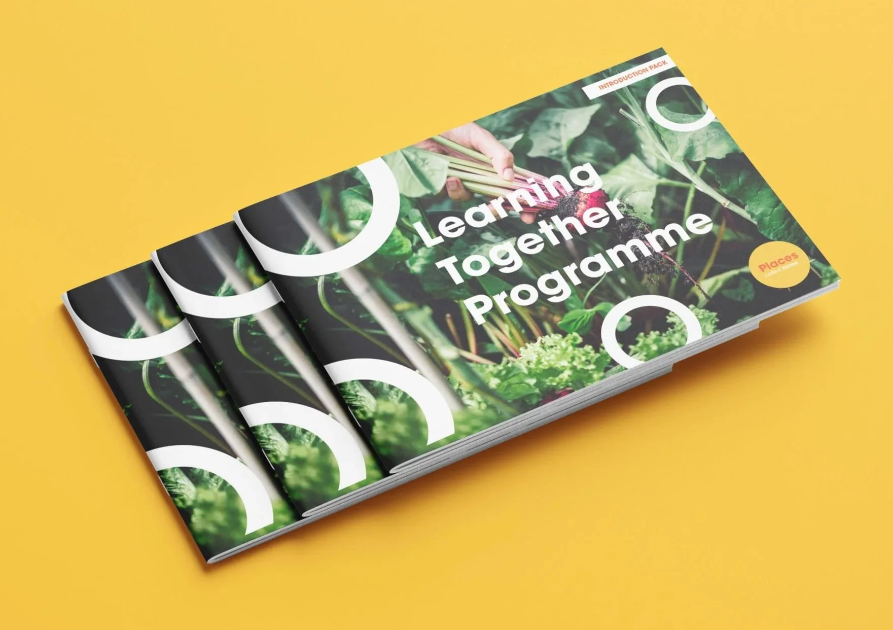 Brochure.jpg
