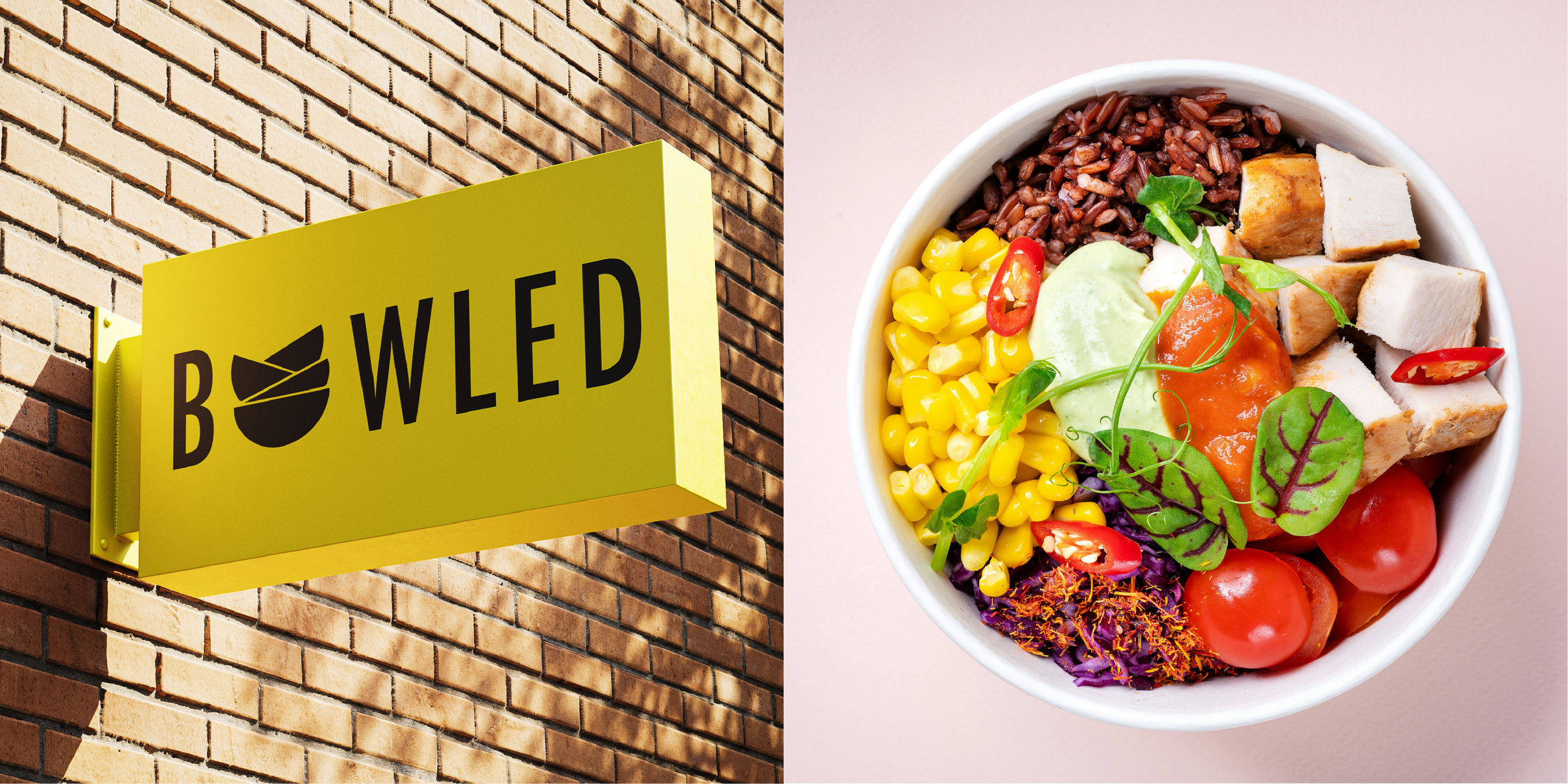 Bowled Artwork-02.png