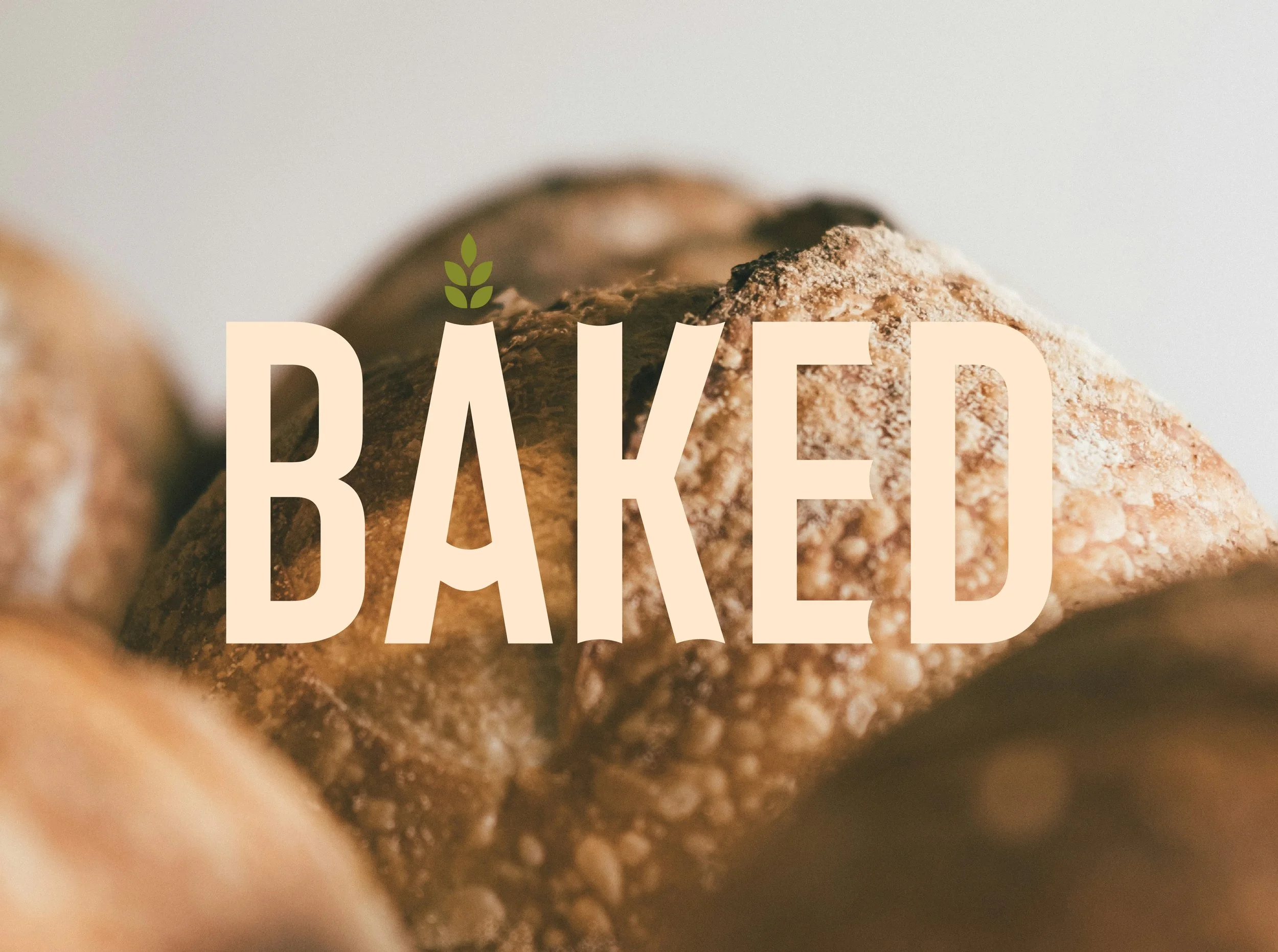 Baked_Website-07.jpg