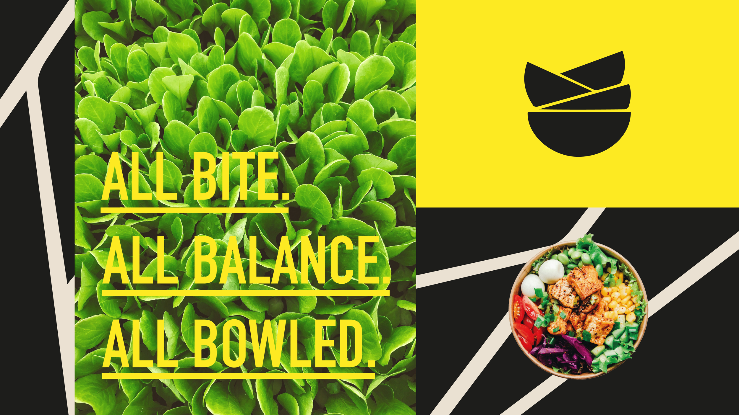 Bowled Website 4.png