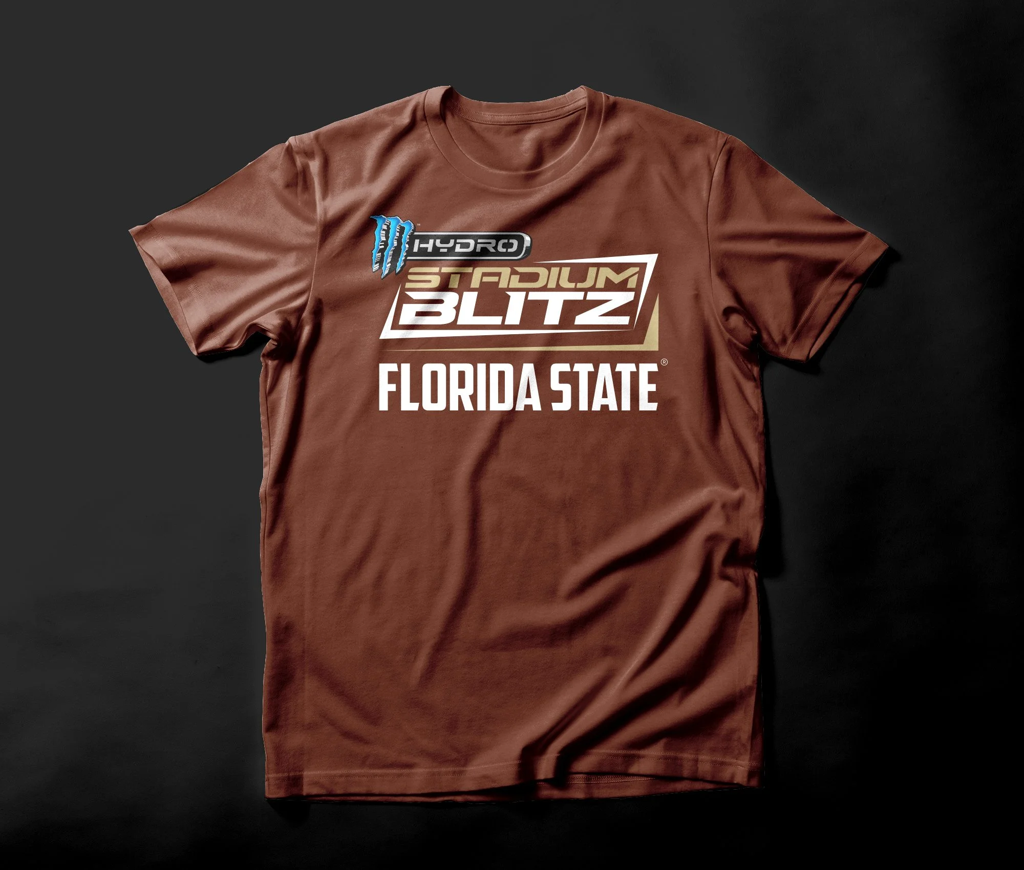 Florida State SB 1.jpg