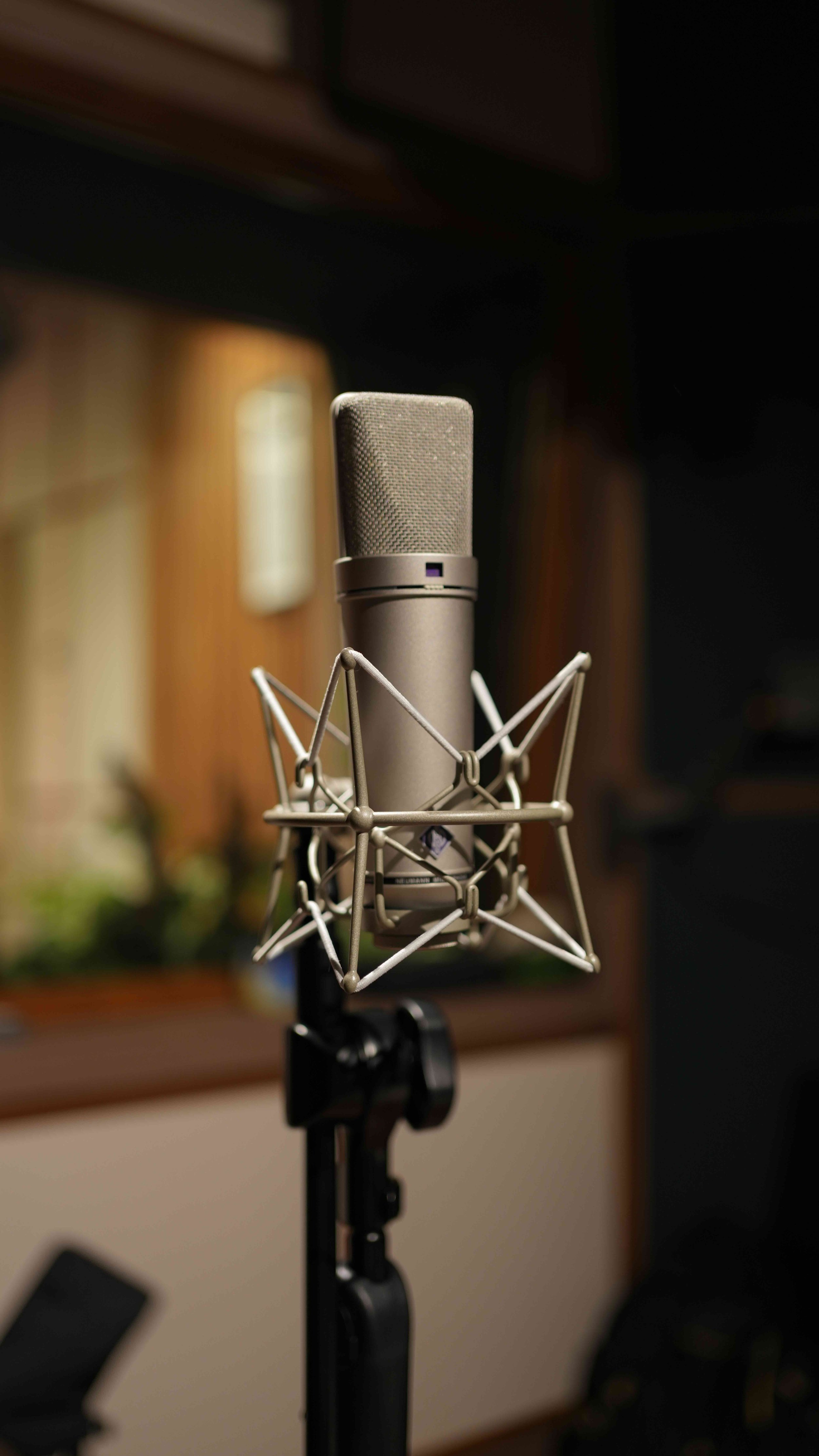 Neumann U87ai