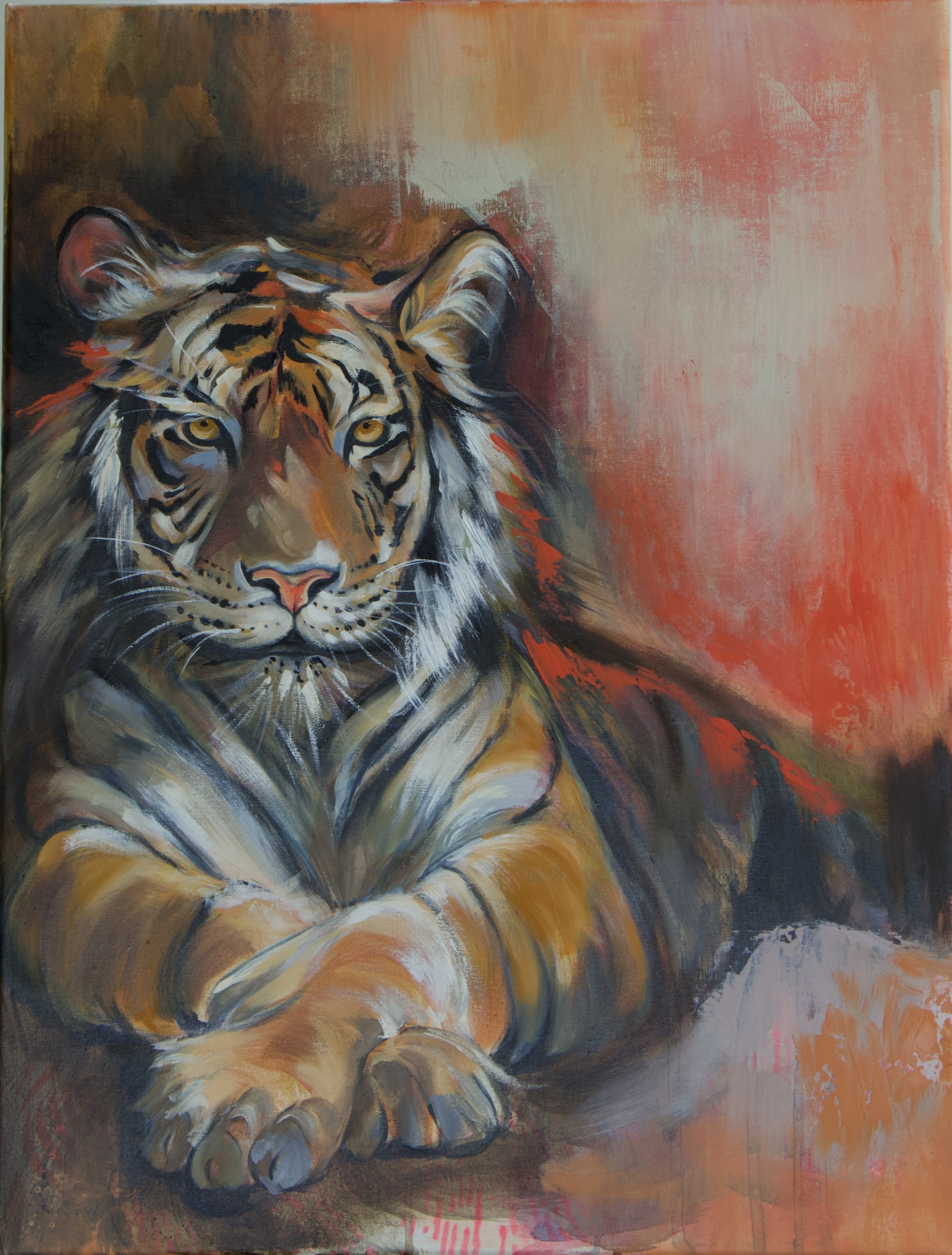 Majestic Tiger Fine Art Print