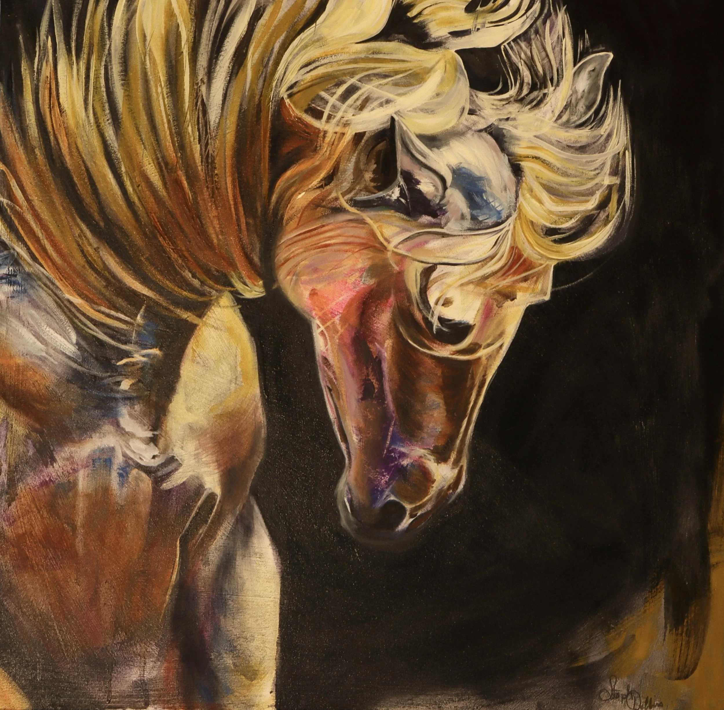 Dynamic Horse Portrait  30 x 30 Oil Painting