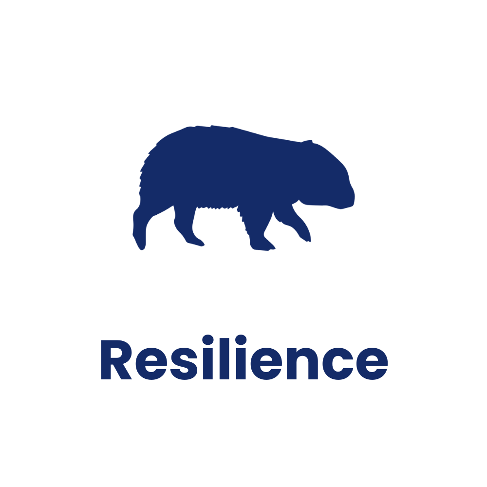 Resilience