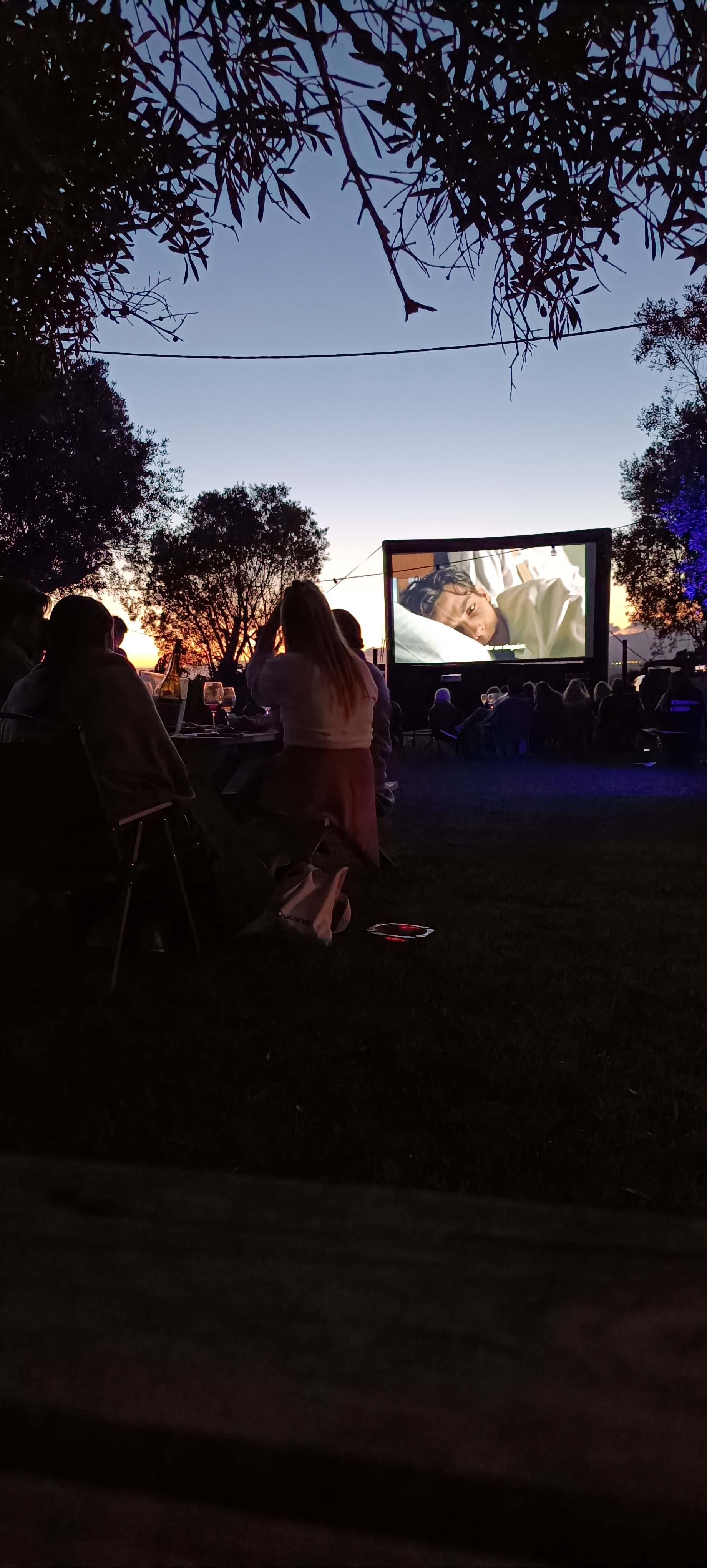 People watching an outdoor movie screen at dusk, seated on lawn chairs and blankets, with trees and a sunset in the background.