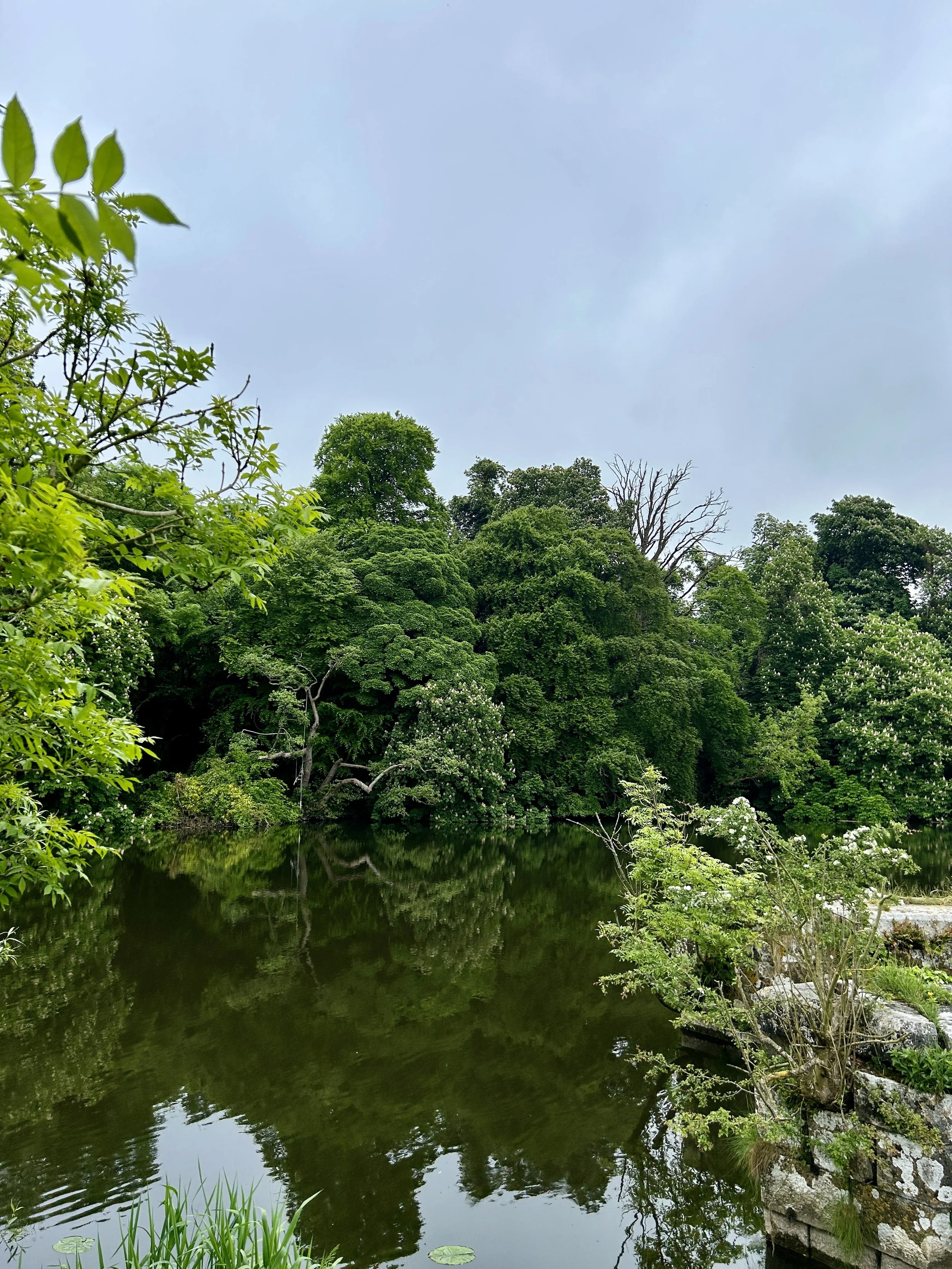 Ireland water MM vertical.JPG